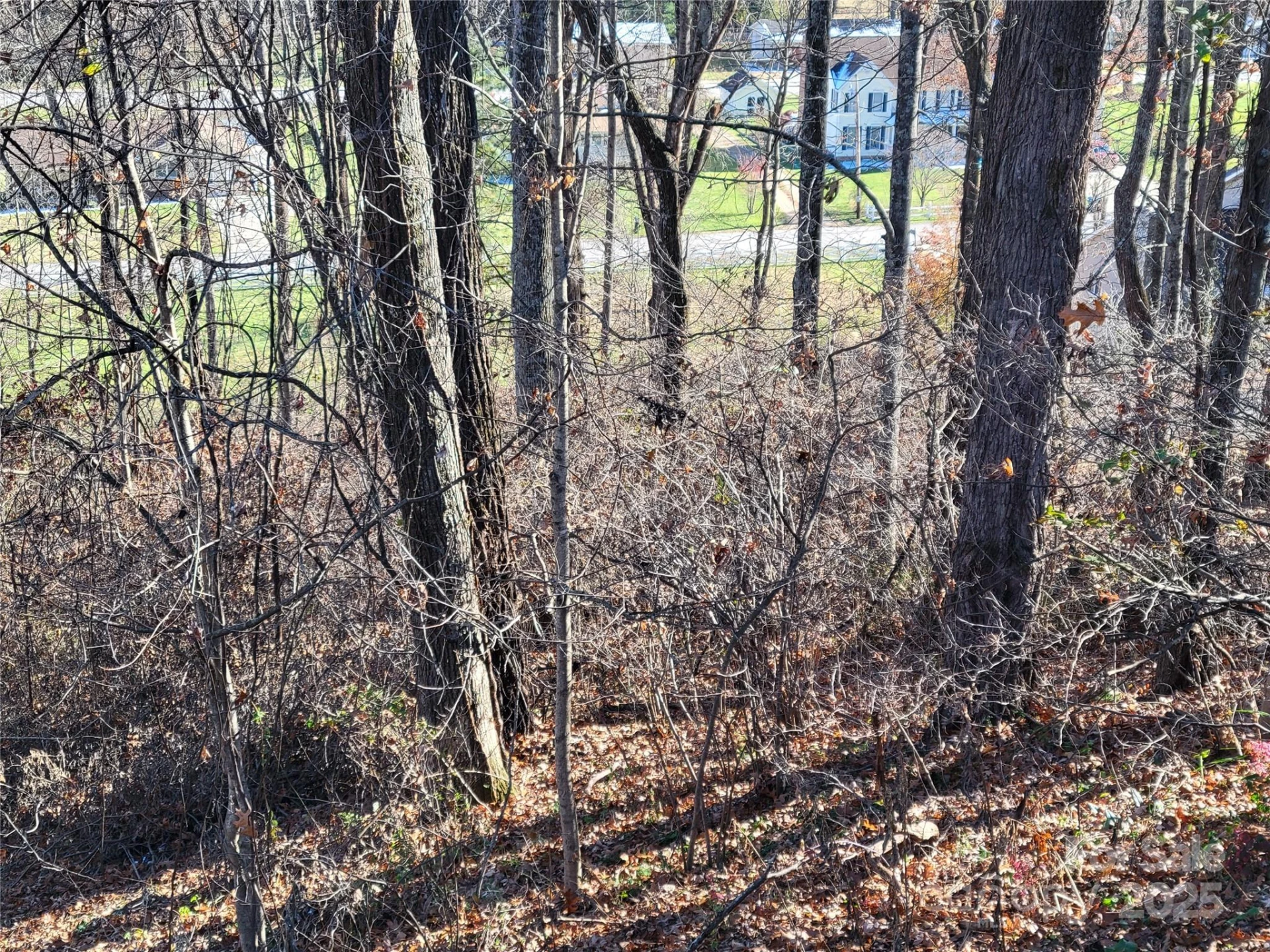 0 Blink Bonny Drive #B11 - Photo 36