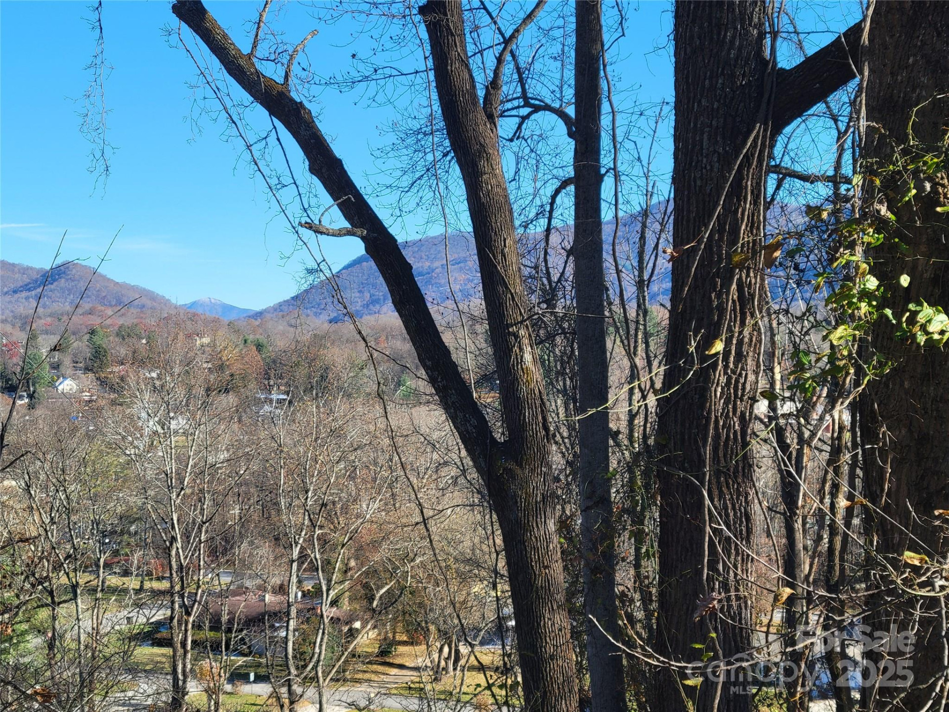 0 Blink Bonny Drive #B11 - Photo 37