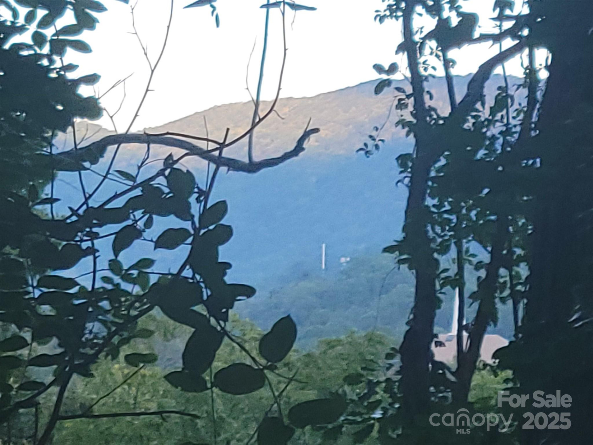 0 Blink Bonny Drive #B11 - Photo 9