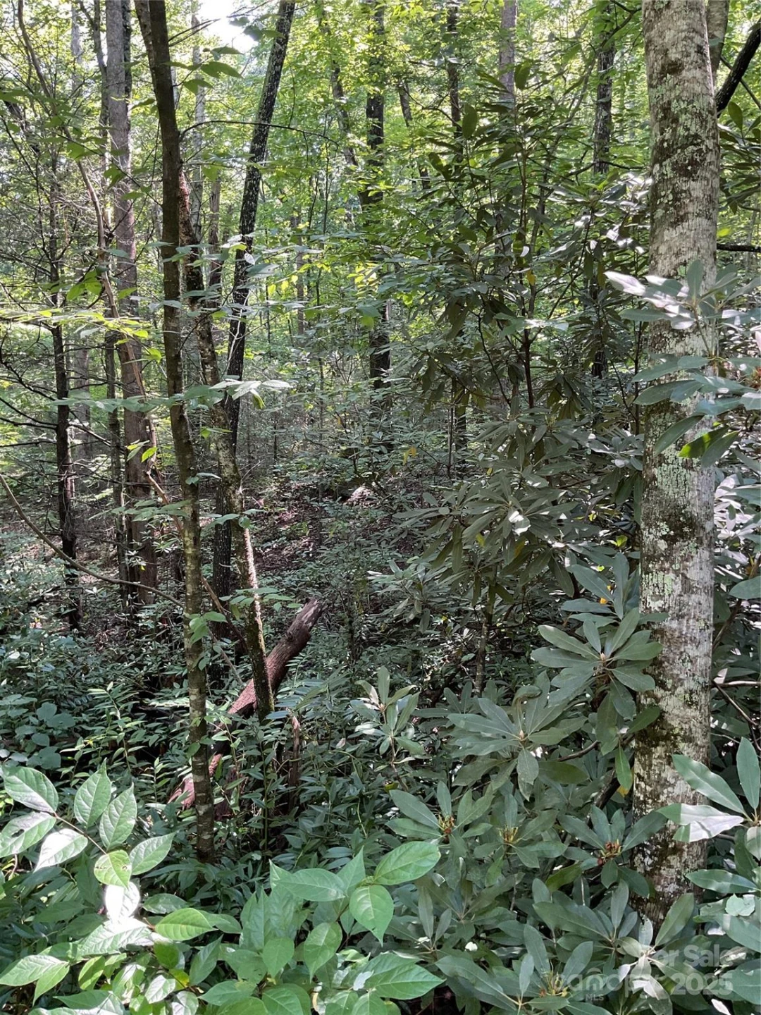 0 Poplar Drive #162 - Photo 3