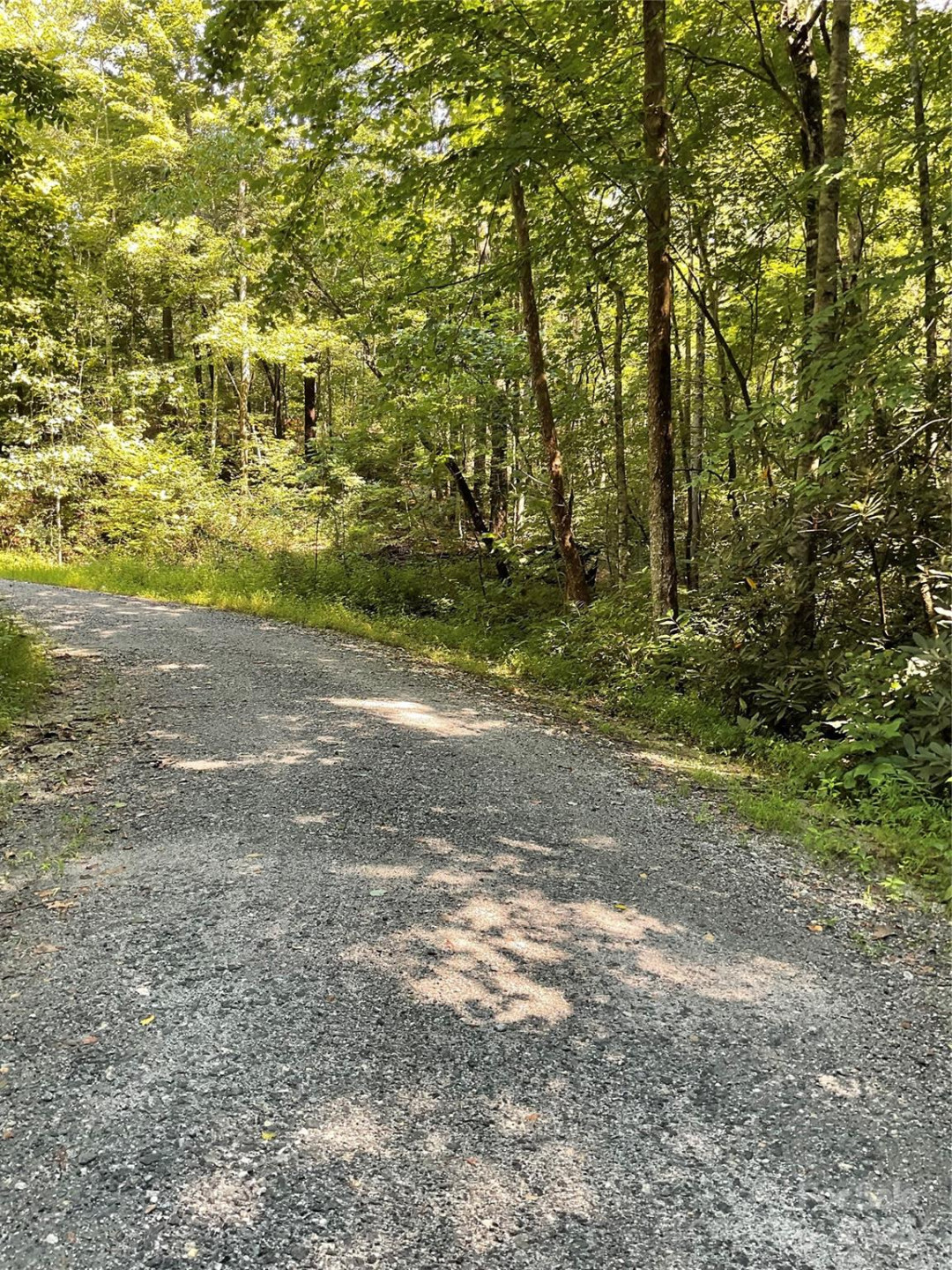 0 Poplar Drive #162 - Photo 4