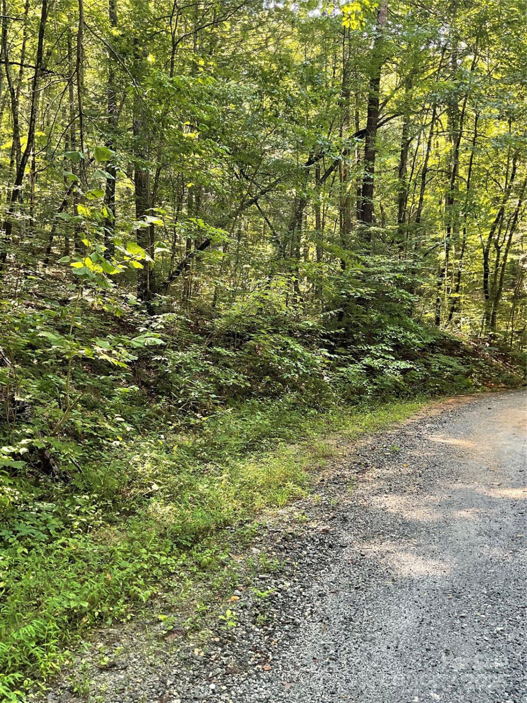 0 Poplar Drive #162 - Photo 5