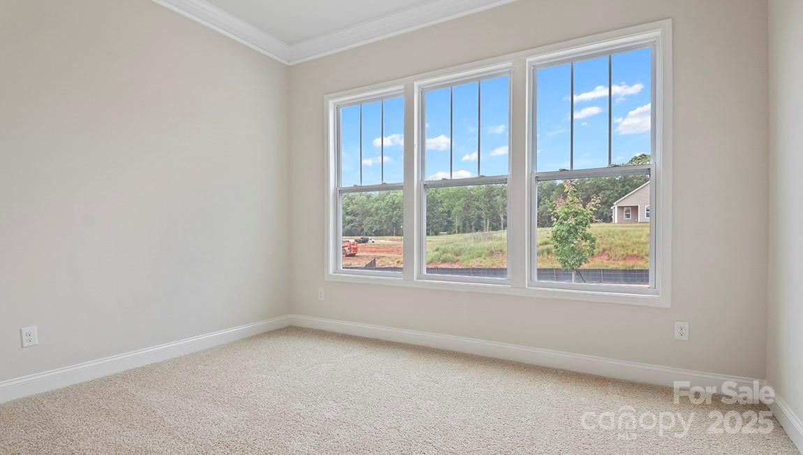 559 River Bottom Road - Photo 15