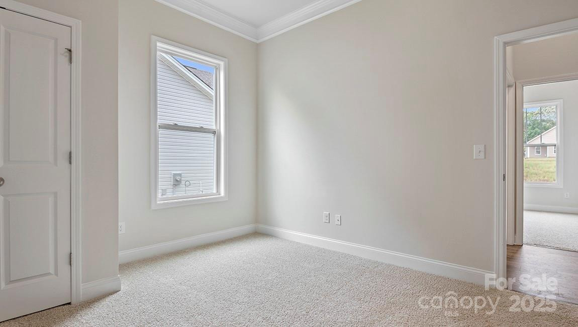 559 River Bottom Road - Photo 18
