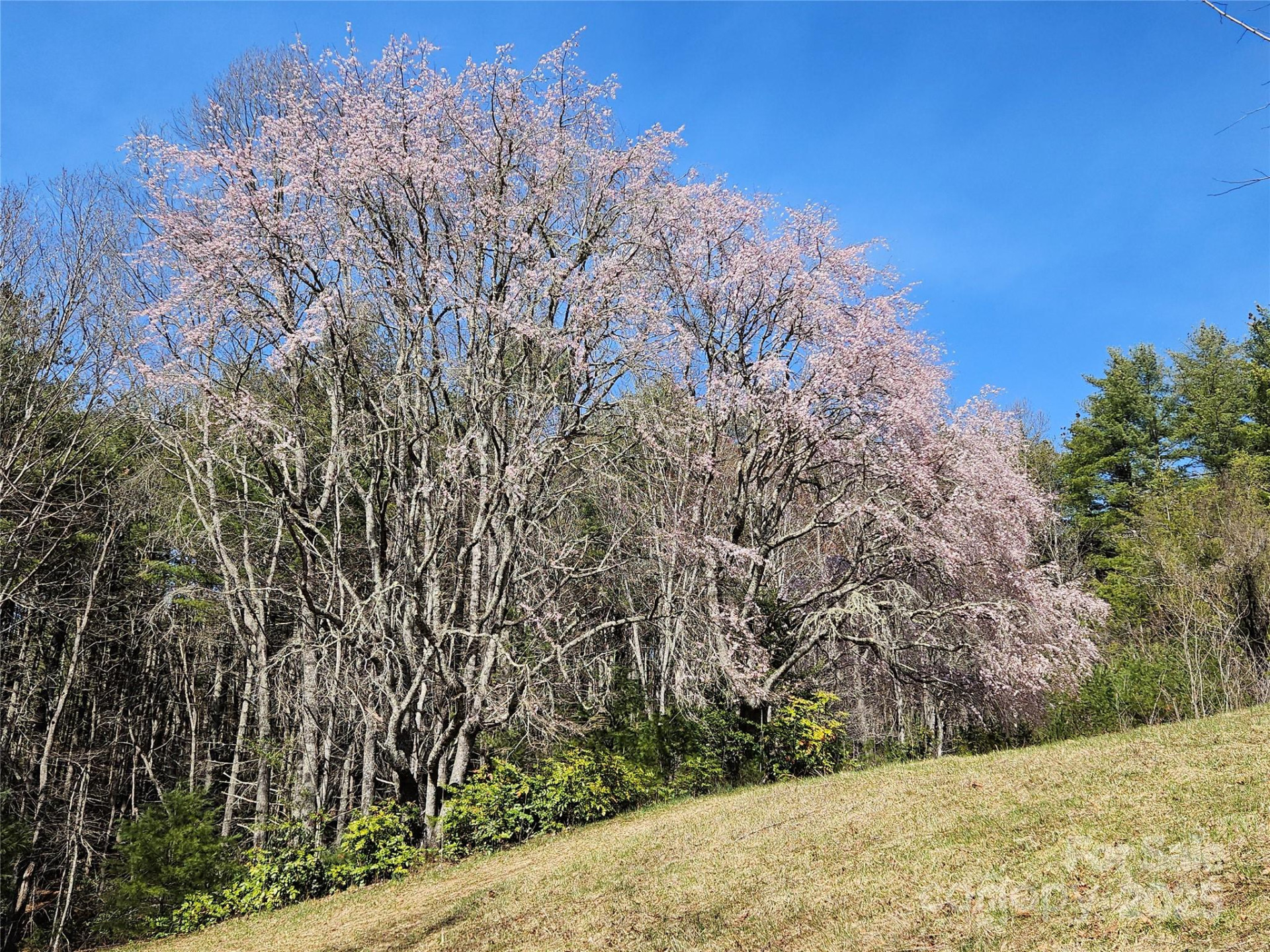 900 Bud Siniard Road - Photo 15