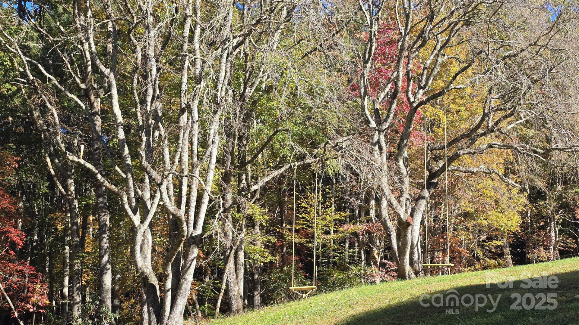 900 Bud Siniard Road - Photo 16