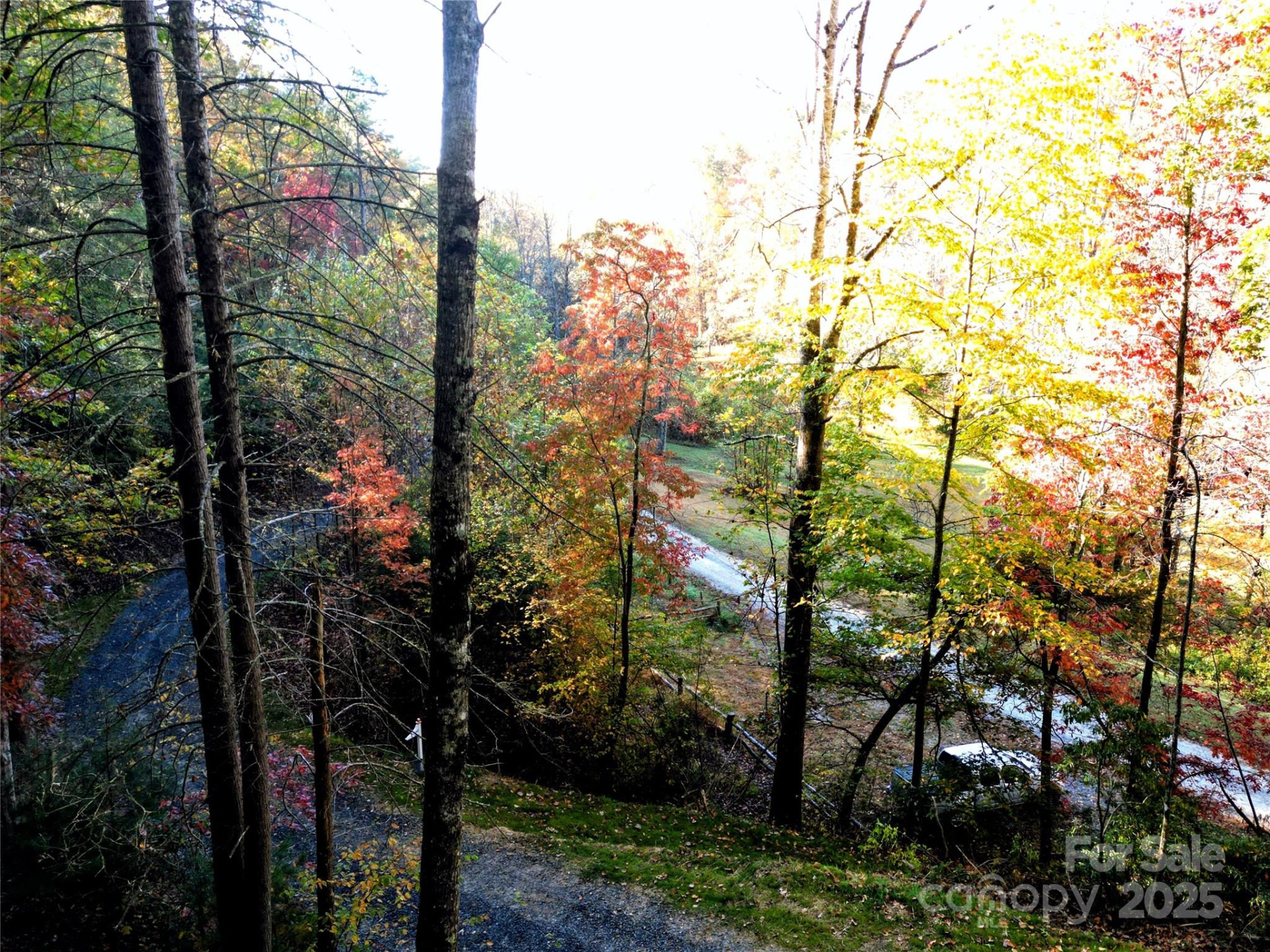 900 Bud Siniard Road - Photo 19