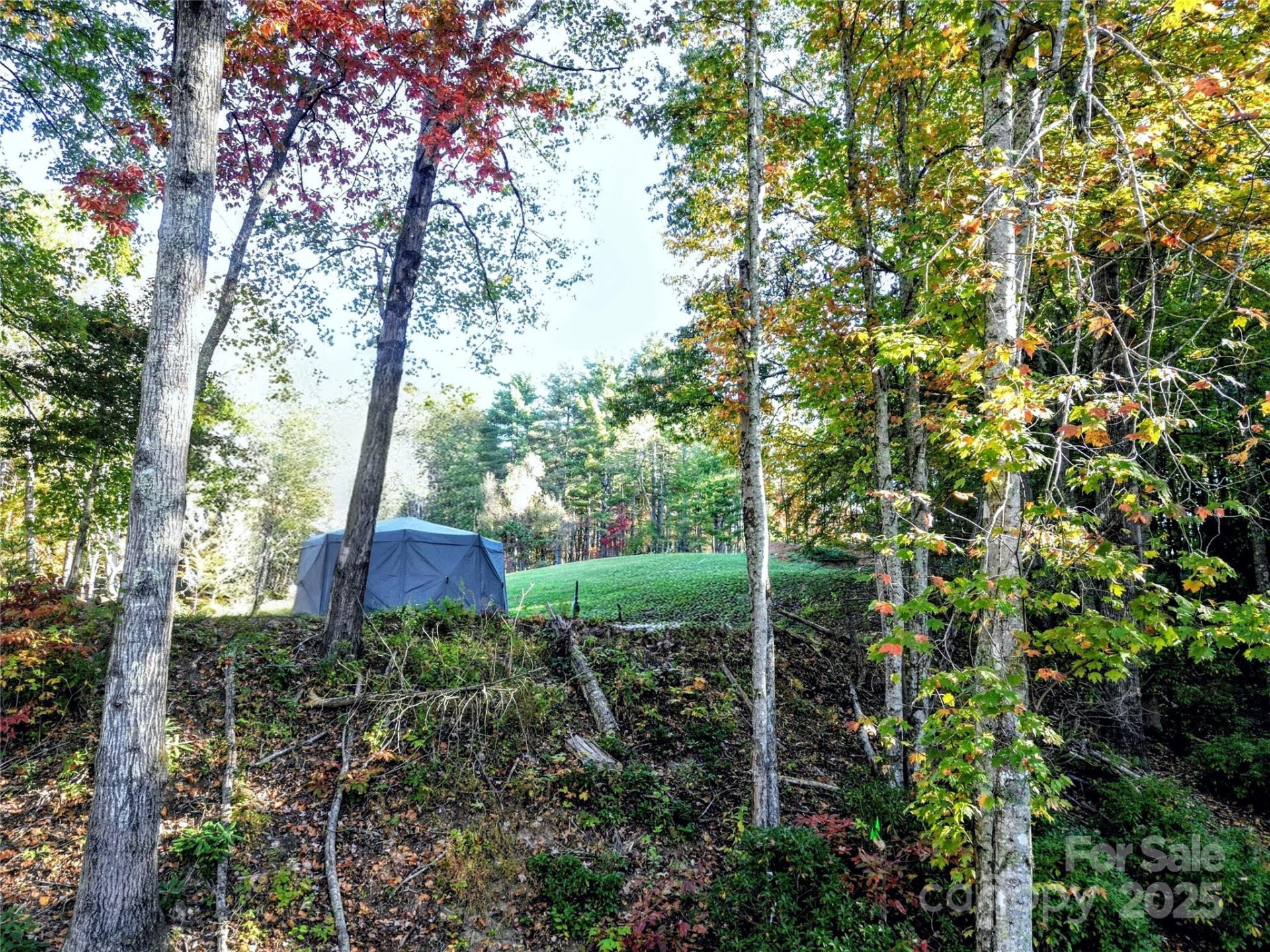 900 Bud Siniard Road - Photo 33