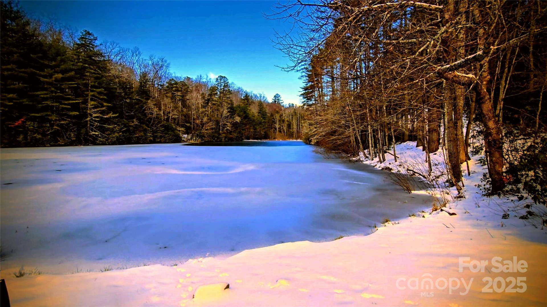 900 Bud Siniard Road - Photo 43