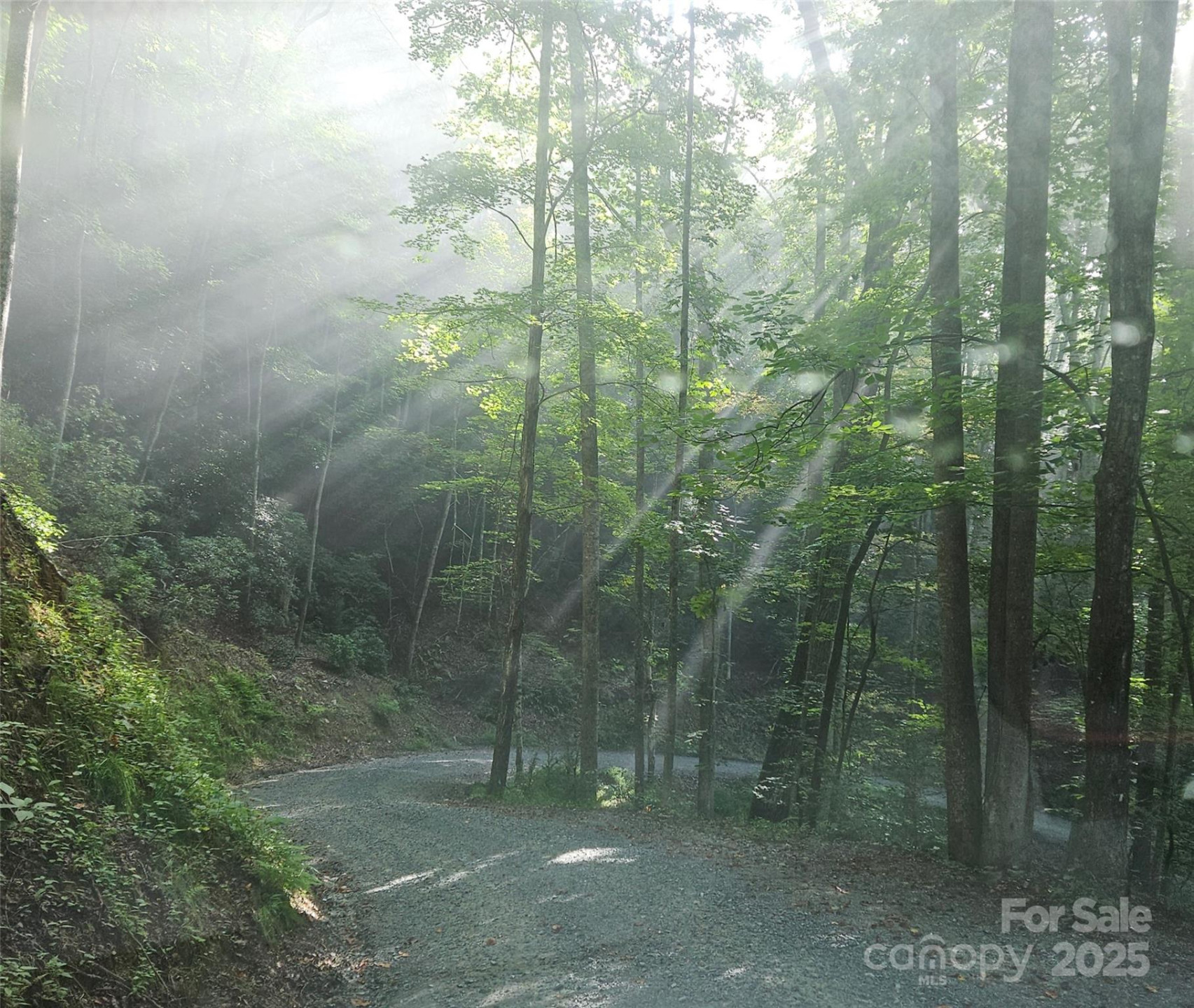 900 Bud Siniard Road - Photo 8