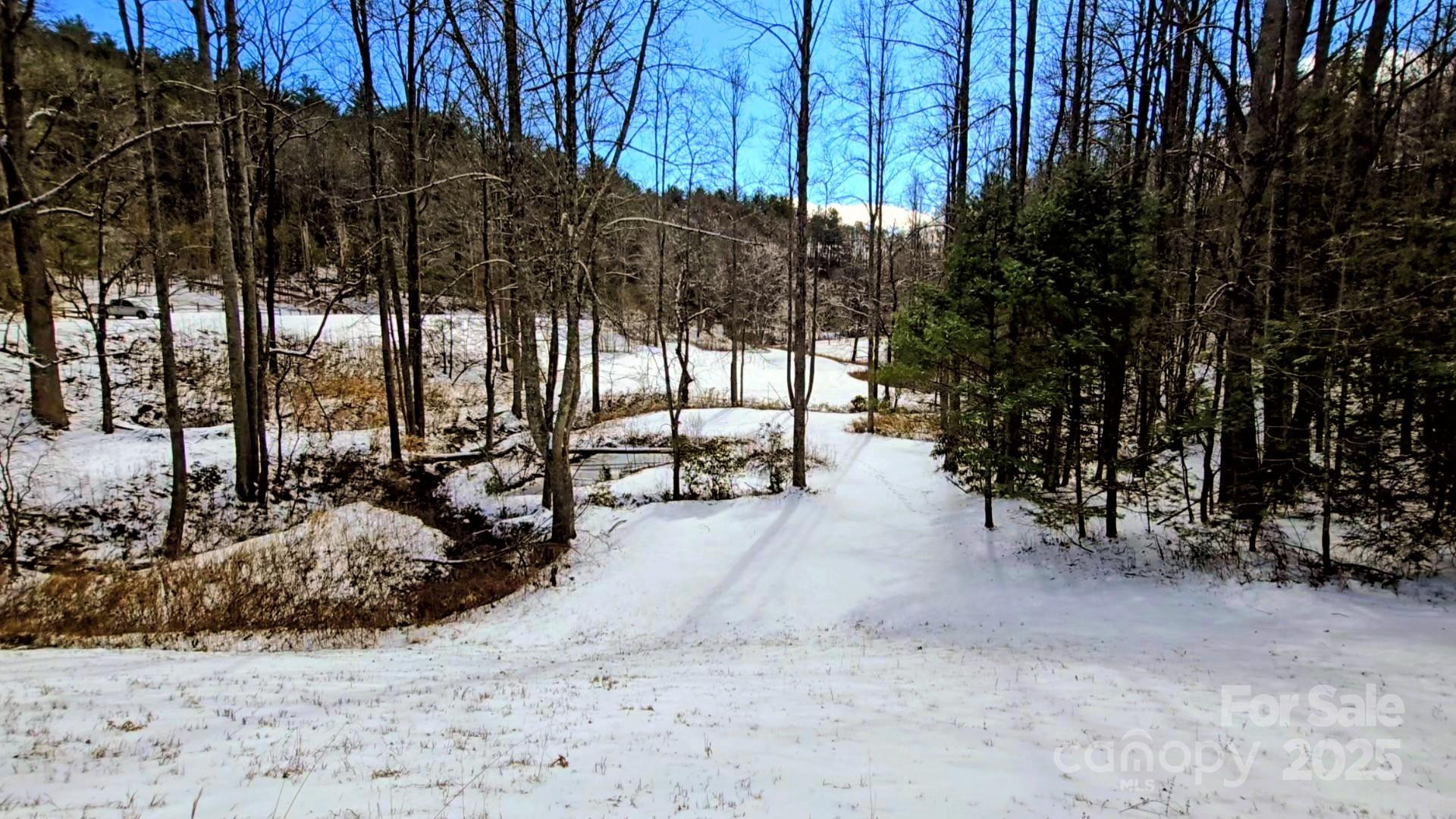 900 Bud Siniard Road - Photo 9