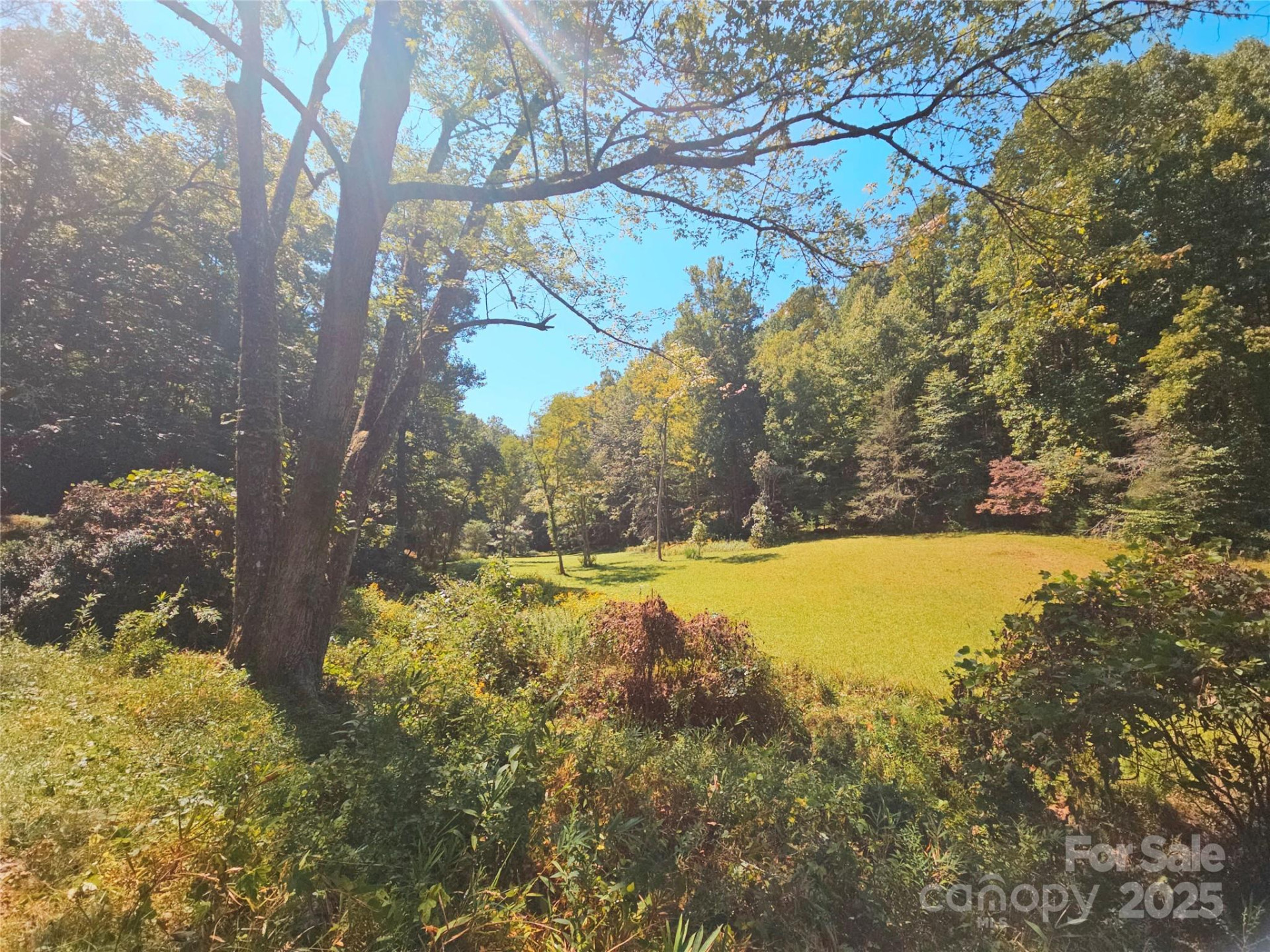 900 Bud Siniard Road - Photo 10