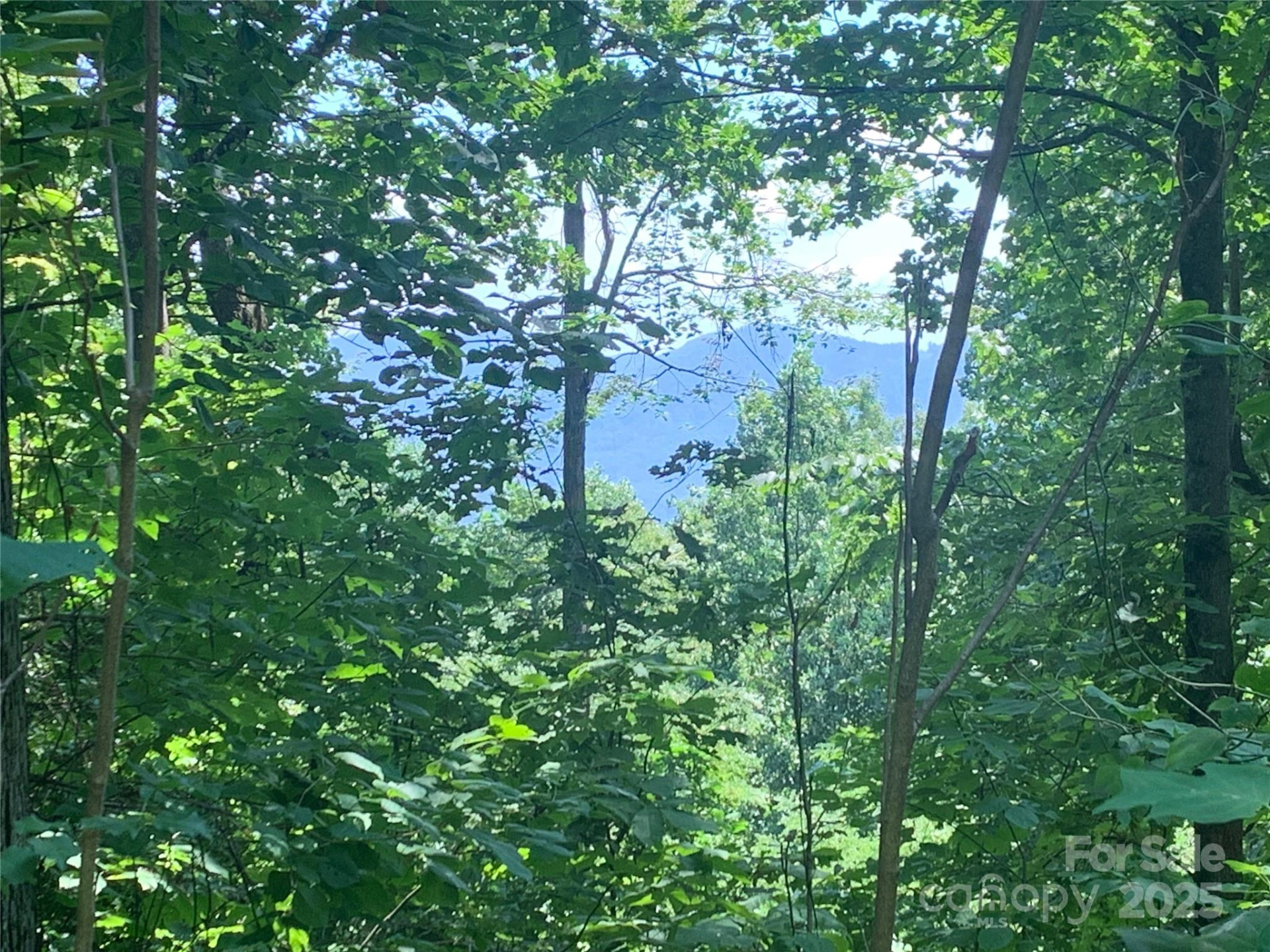 1915 Creston Drive #T-18