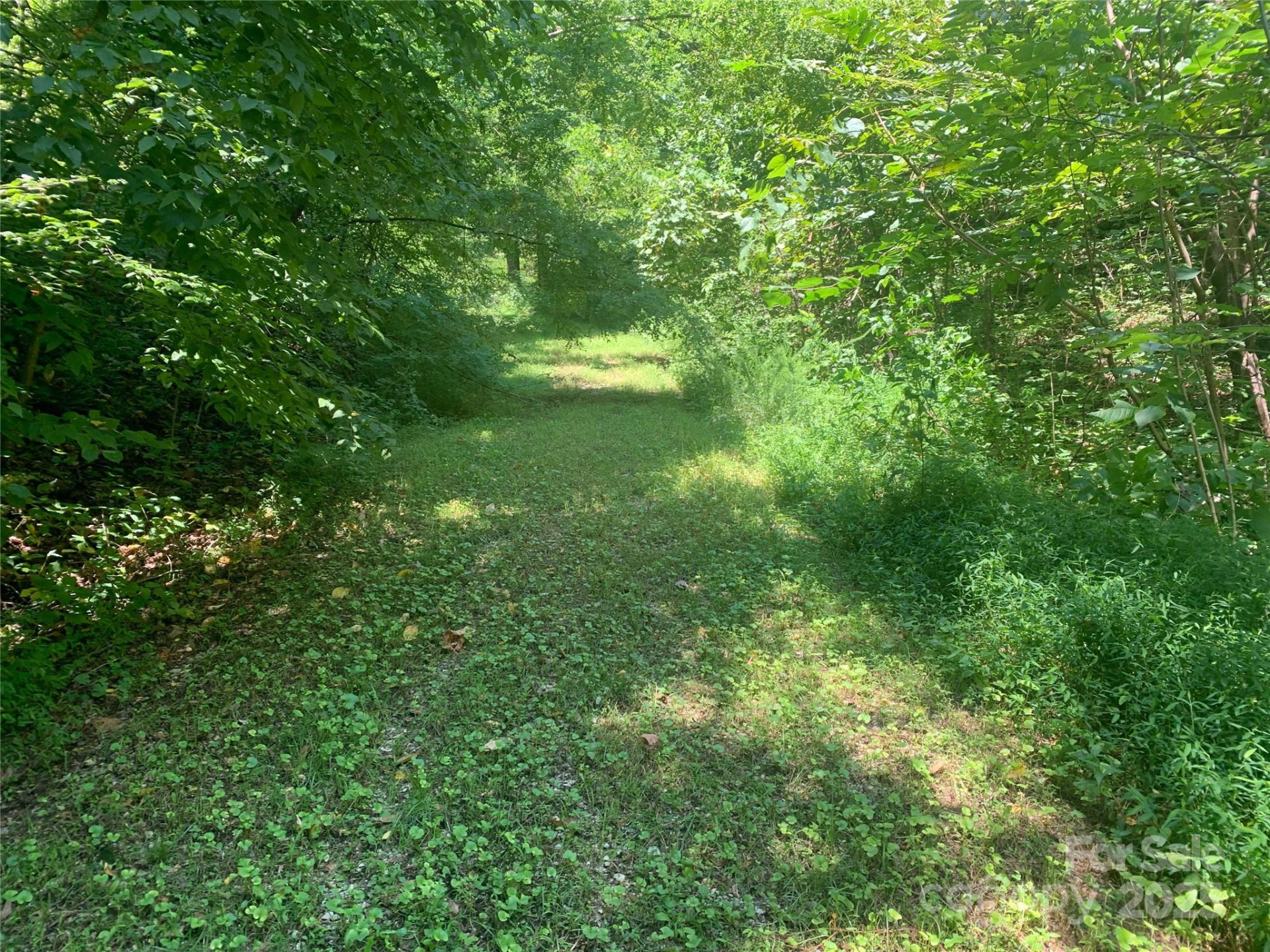 1915 Creston Drive #T-18 - Photo 2