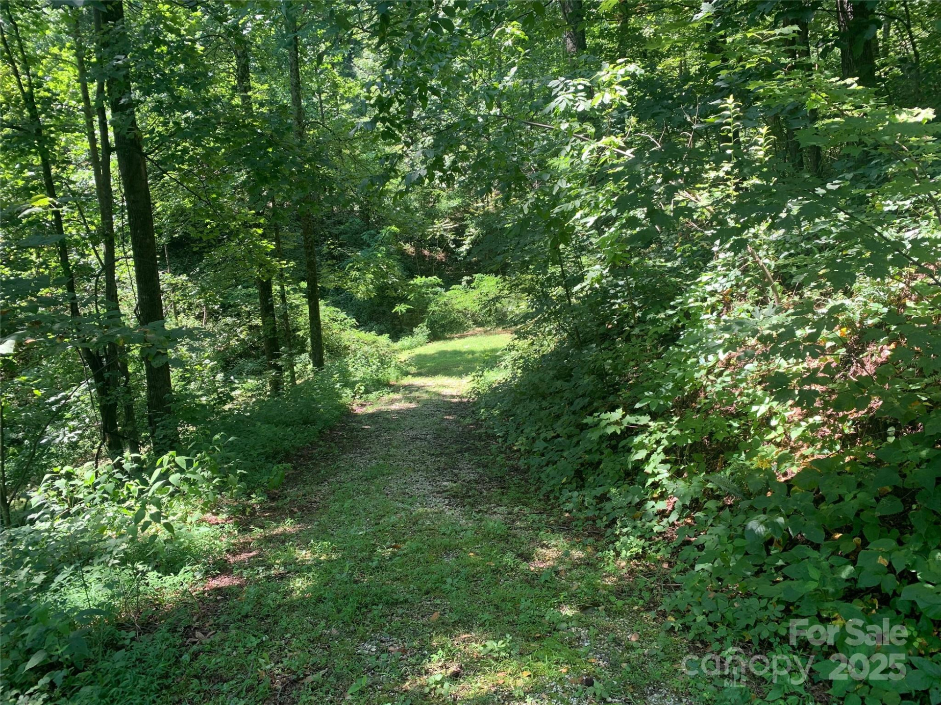 1915 Creston Drive #T-18 - Photo 4