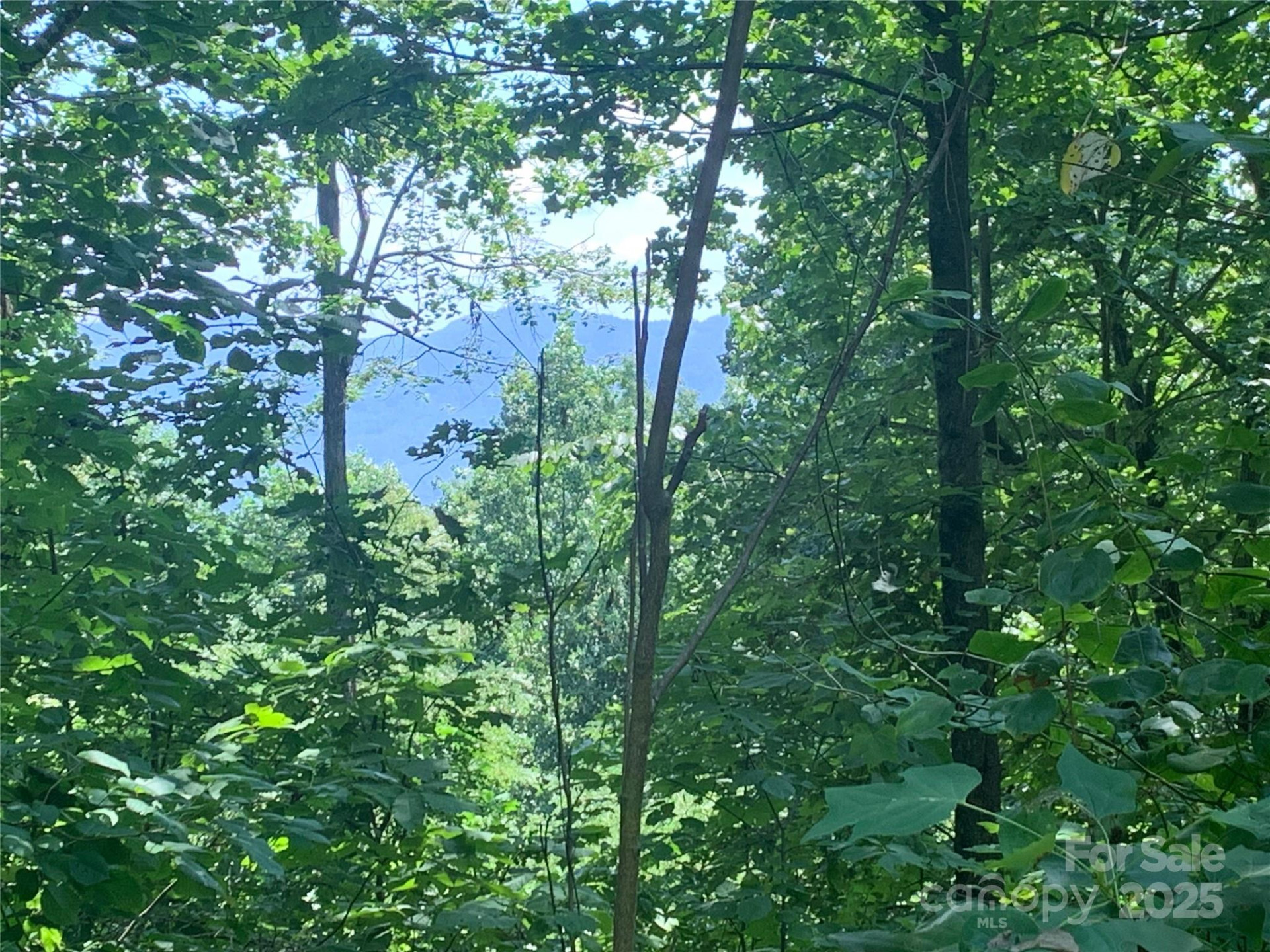 1915 Creston Drive #T-18 - Photo 6