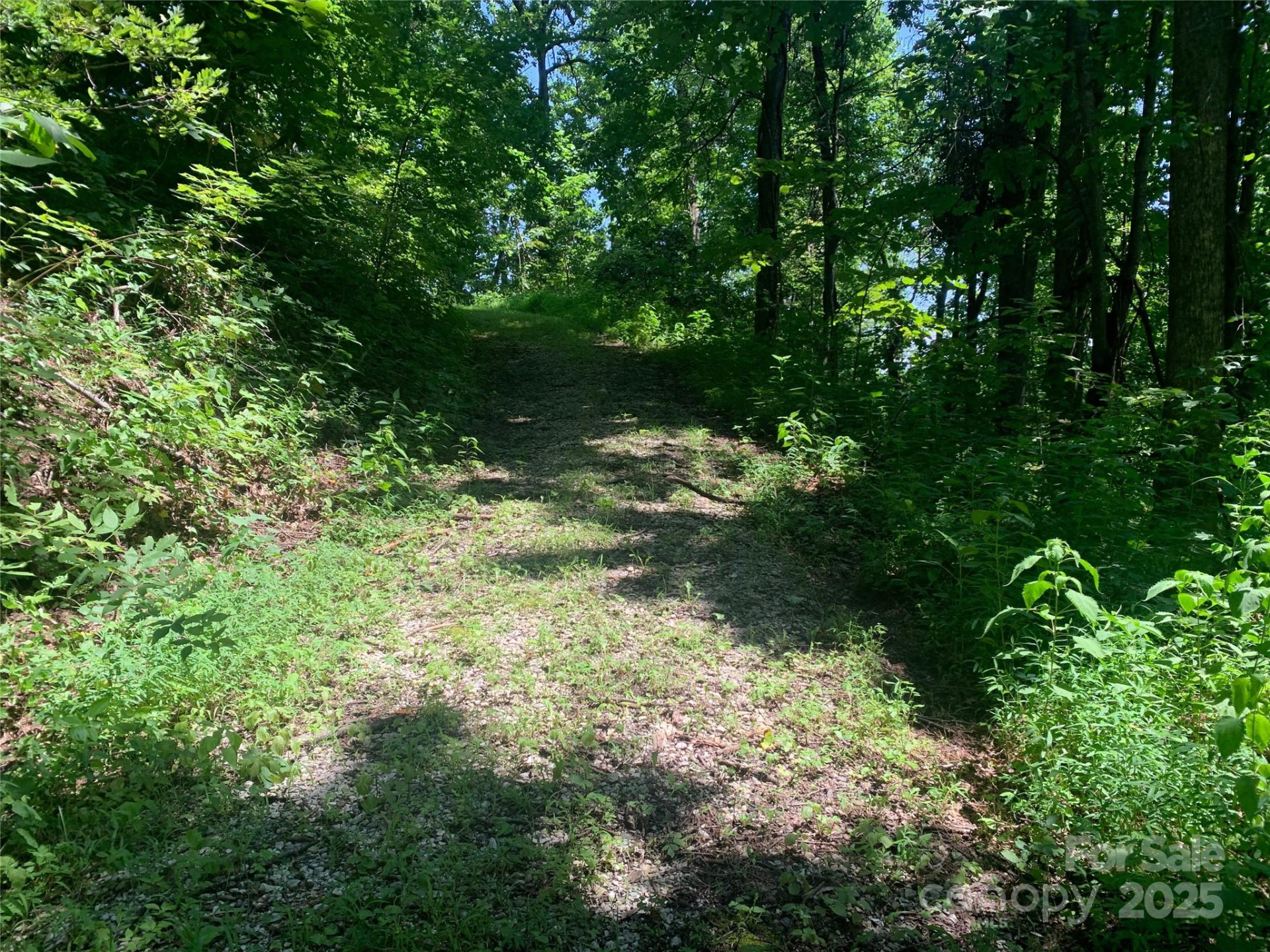 1915 Creston Drive #T-18 - Photo 7