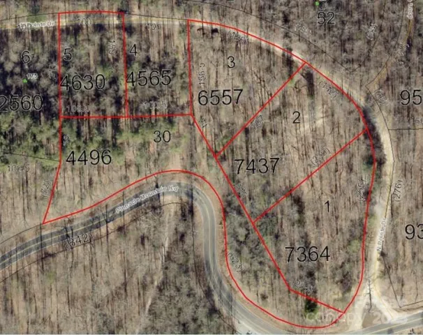 99999 Pointe Drive, Zirconia, NC, 28790