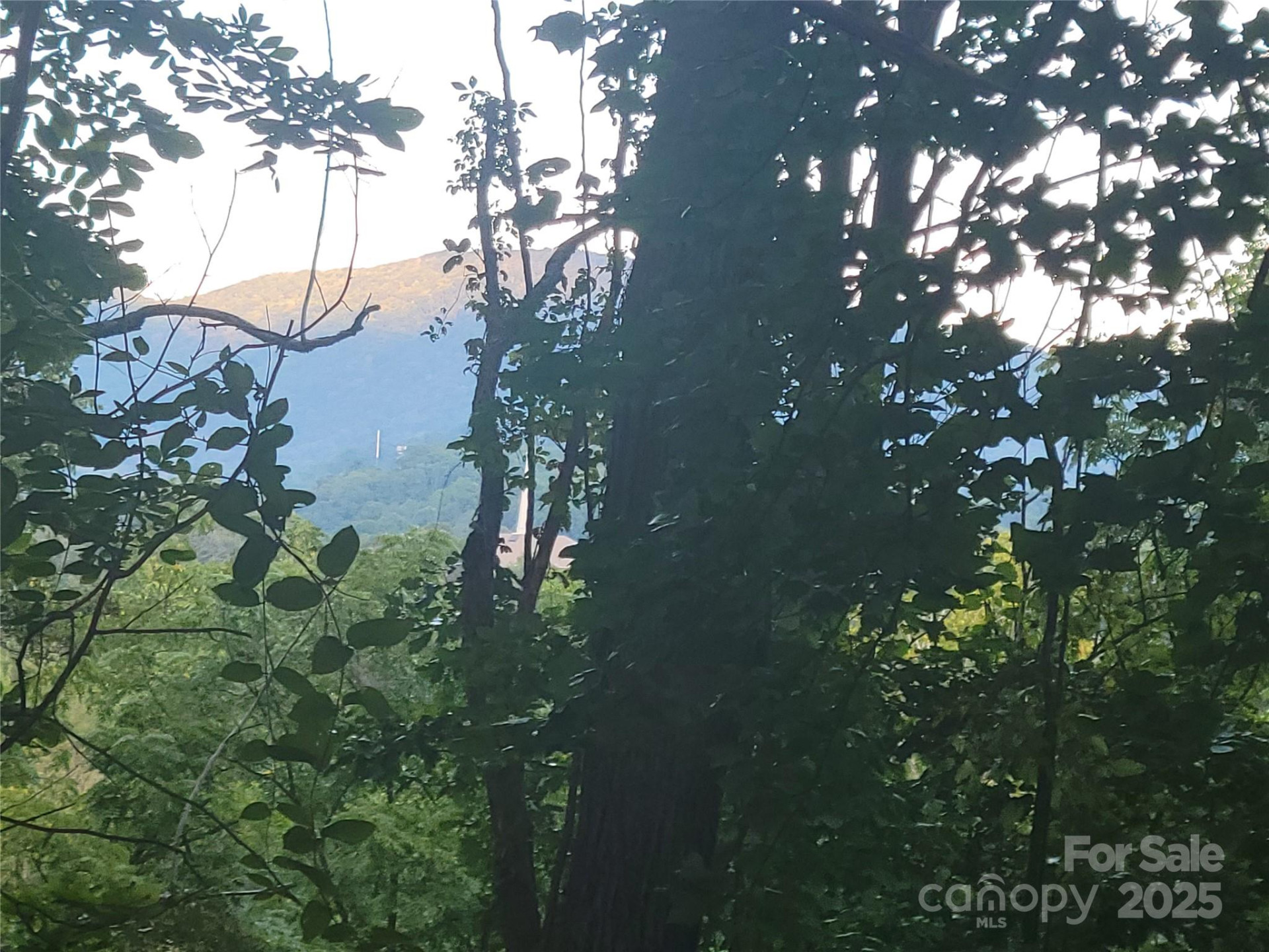 0 Blink Bonny Drive #B9 - Photo 12