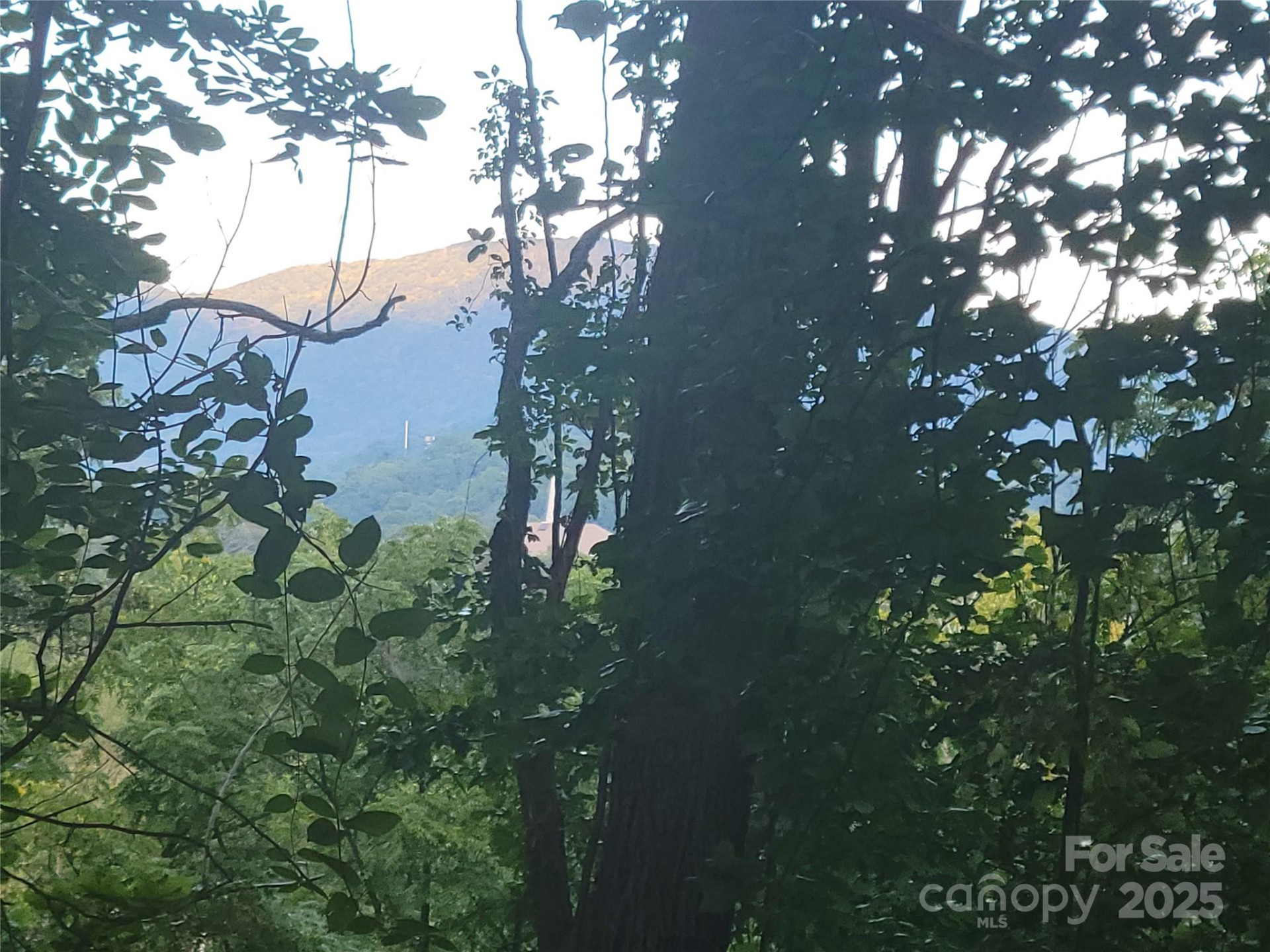 0 Blink Bonny Drive #B9 - Photo 13