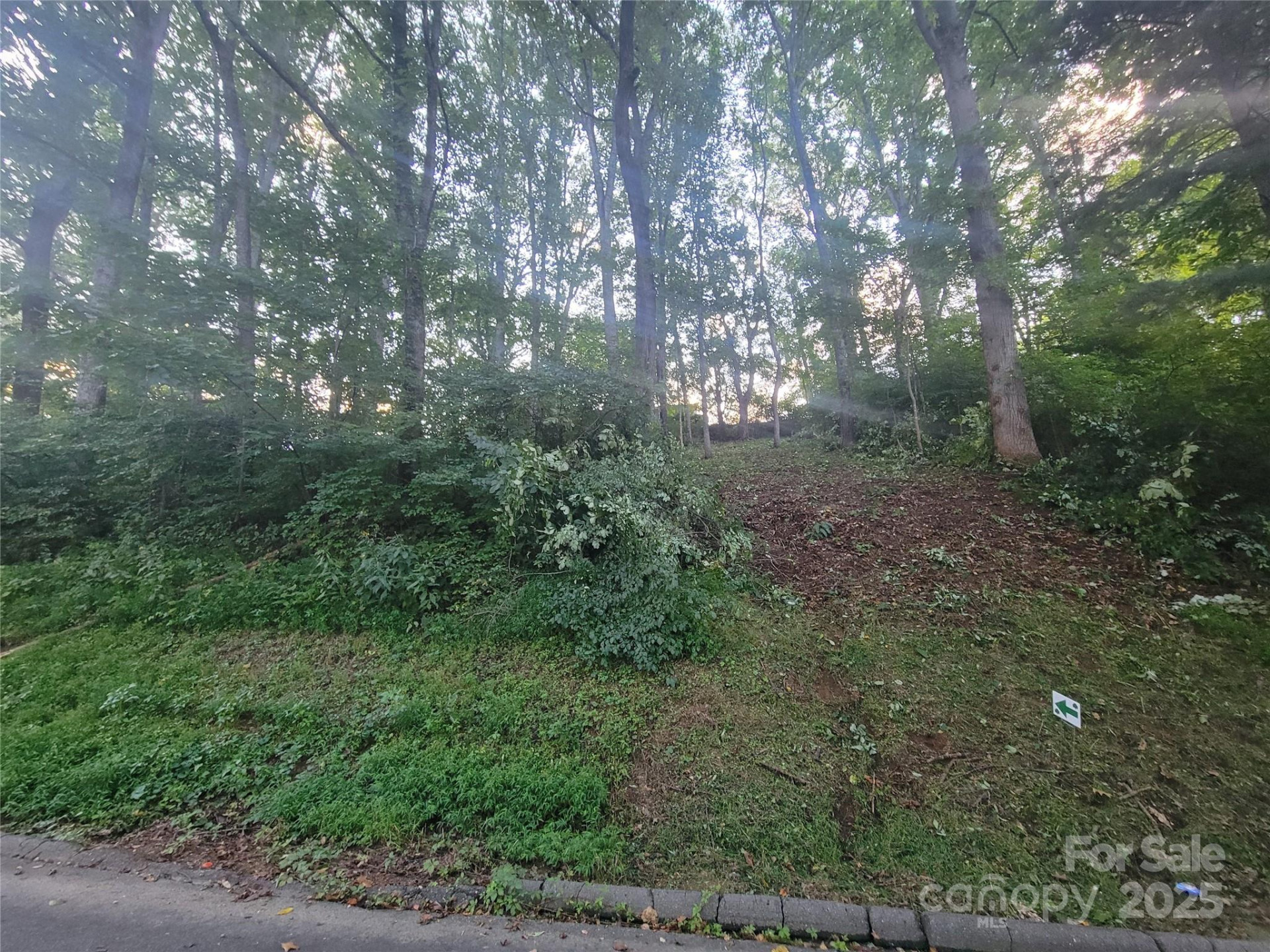 0 Blink Bonny Drive #B9 - Photo 17