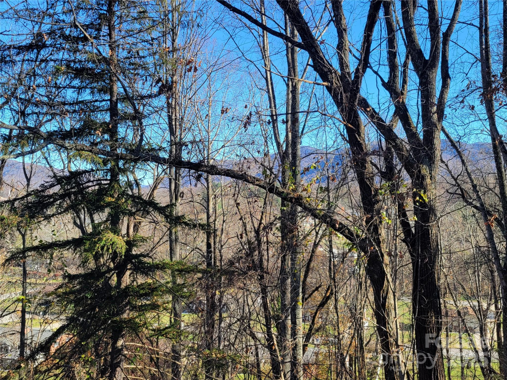 0 Blink Bonny Drive #B9 - Photo 33