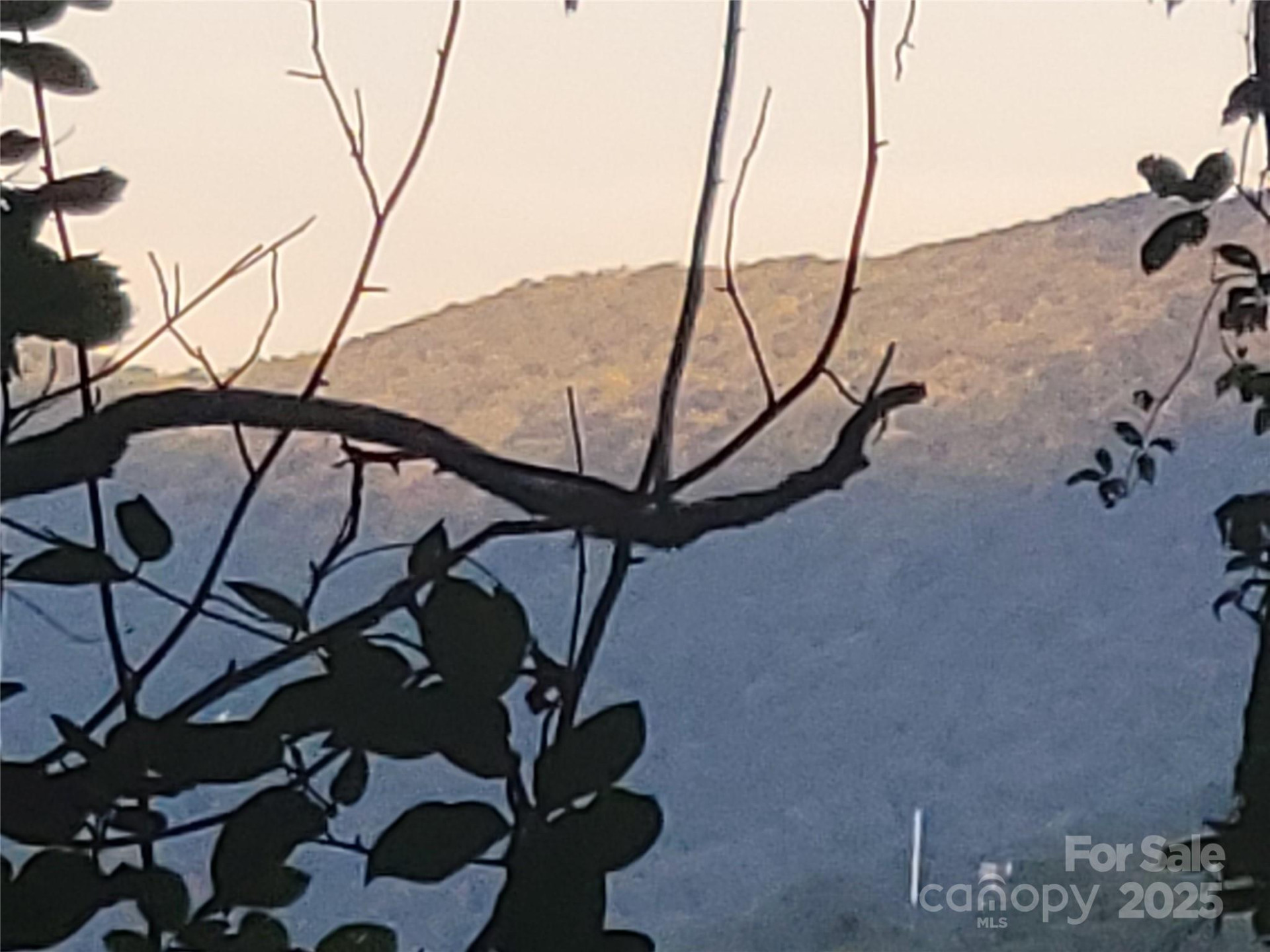 0 Blink Bonny Drive #B9 - Photo 10