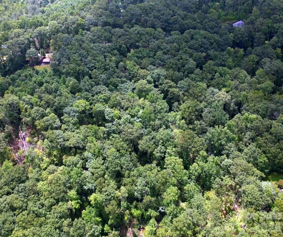 13 Old Mill Road - Photo 3