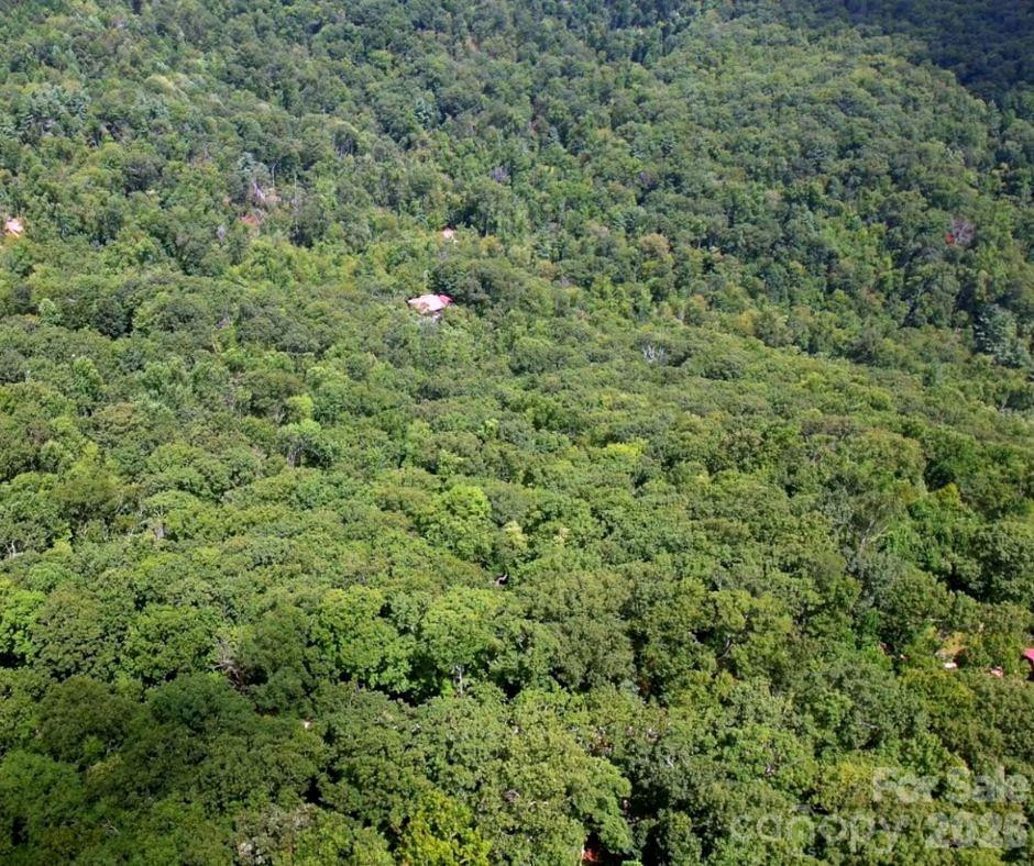 13 Old Mill Road - Photo 5