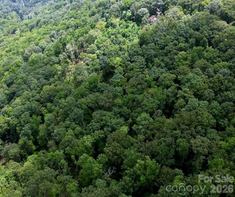 13 Old Mill Road - Photo 6