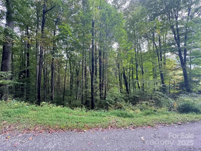 13 Fern Trail