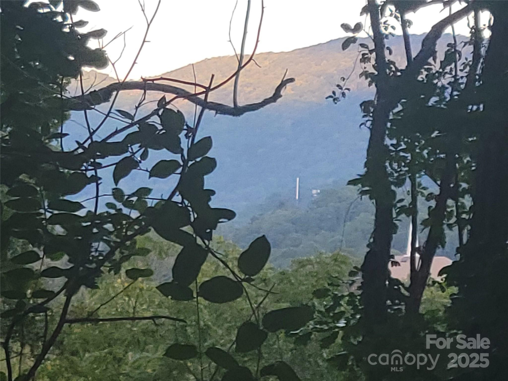 0 Blink Bonny Drive #B9 & B11 - Photo 11