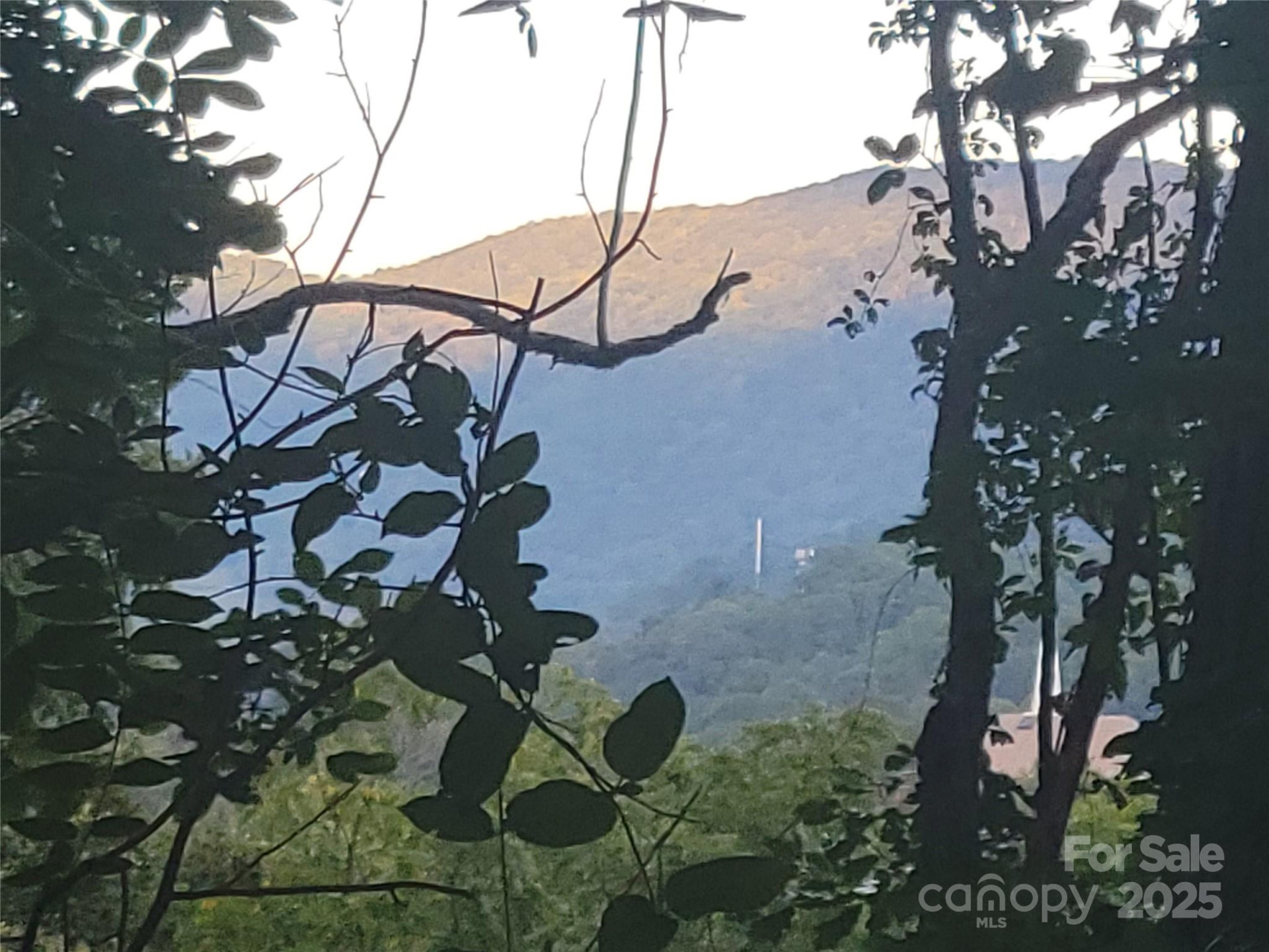 0 Blink Bonny Drive #B9 & B11 - Photo 12