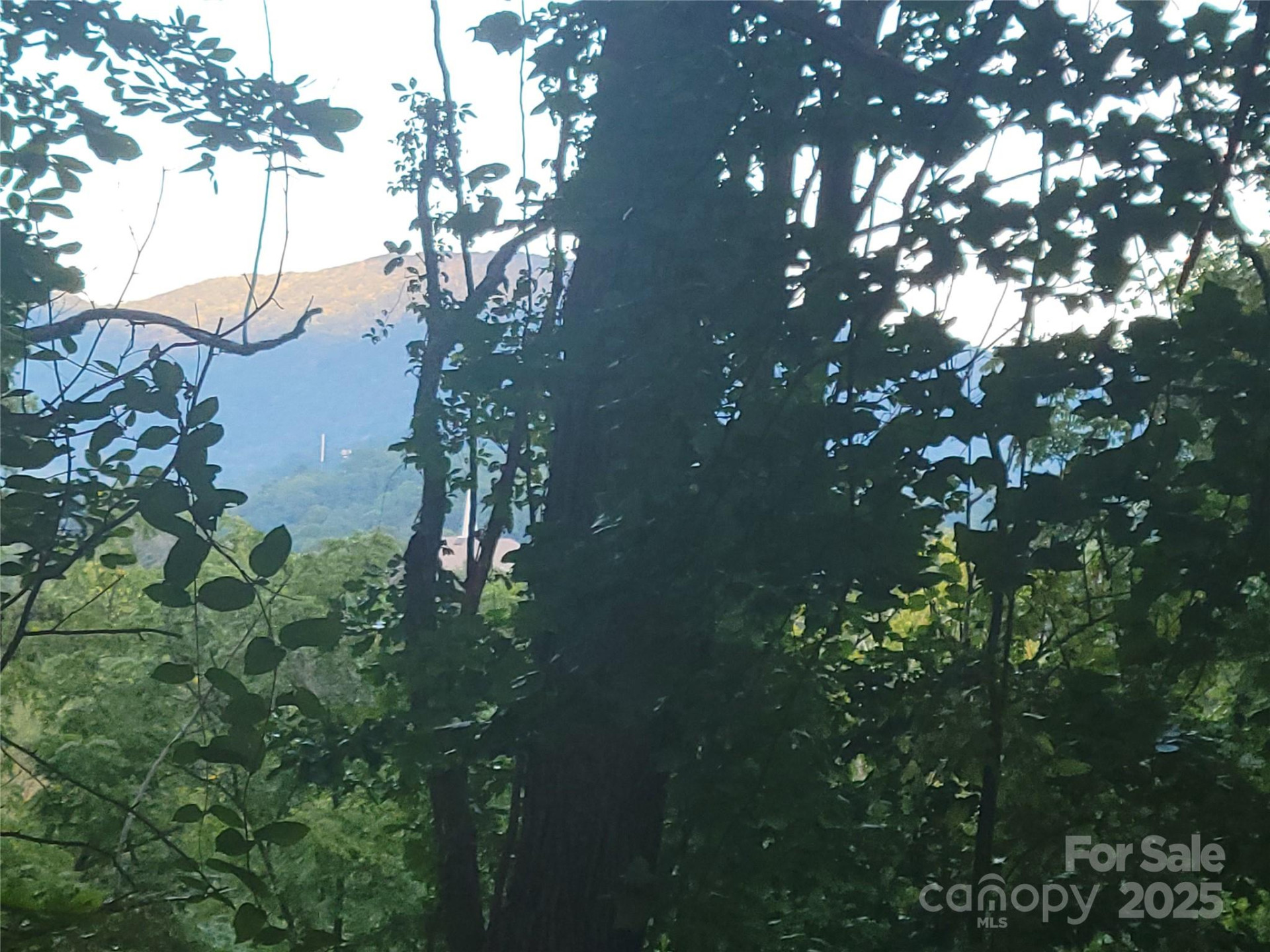 0 Blink Bonny Drive #B9 & B11 - Photo 14