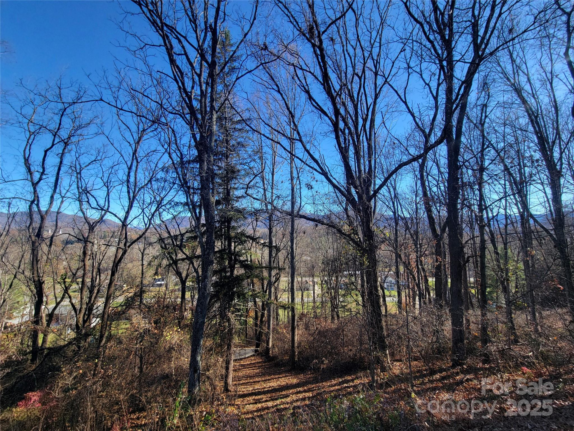 0 Blink Bonny Drive #B9 & B11 - Photo 31