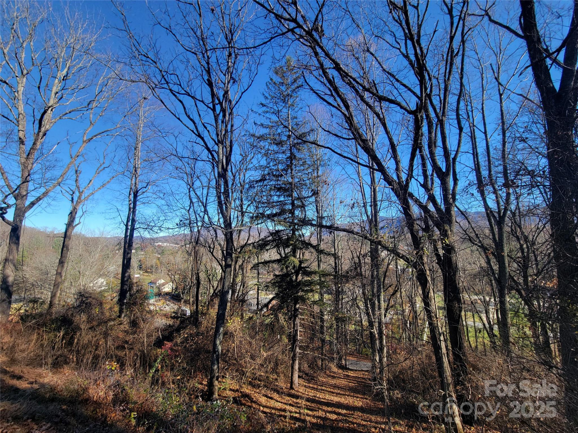 0 Blink Bonny Drive #B9 & B11 - Photo 32