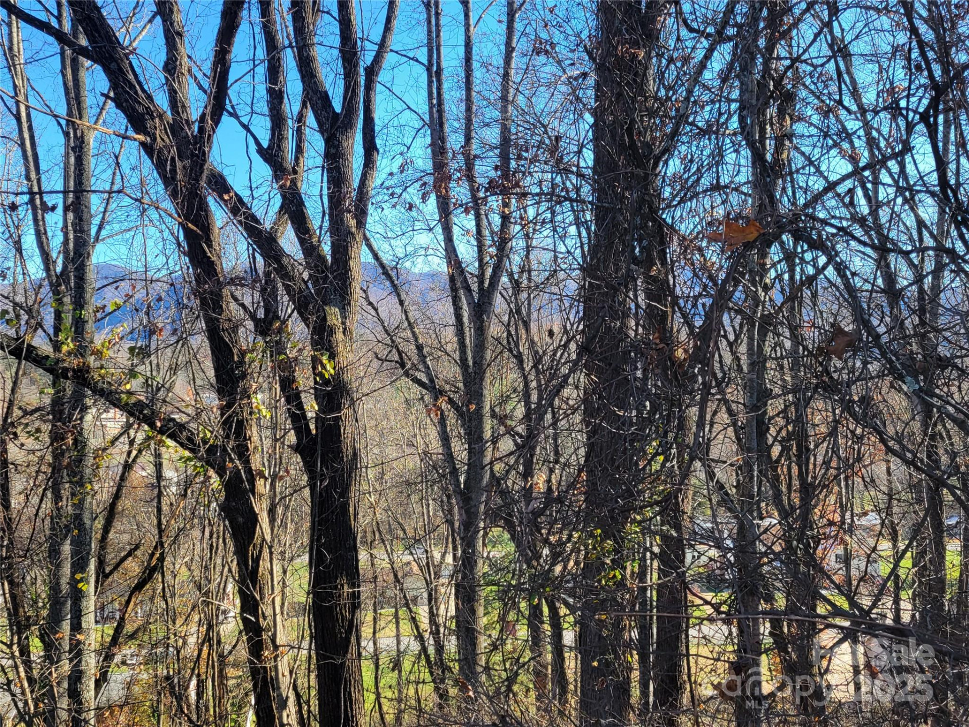 0 Blink Bonny Drive #B9 & B11 - Photo 35