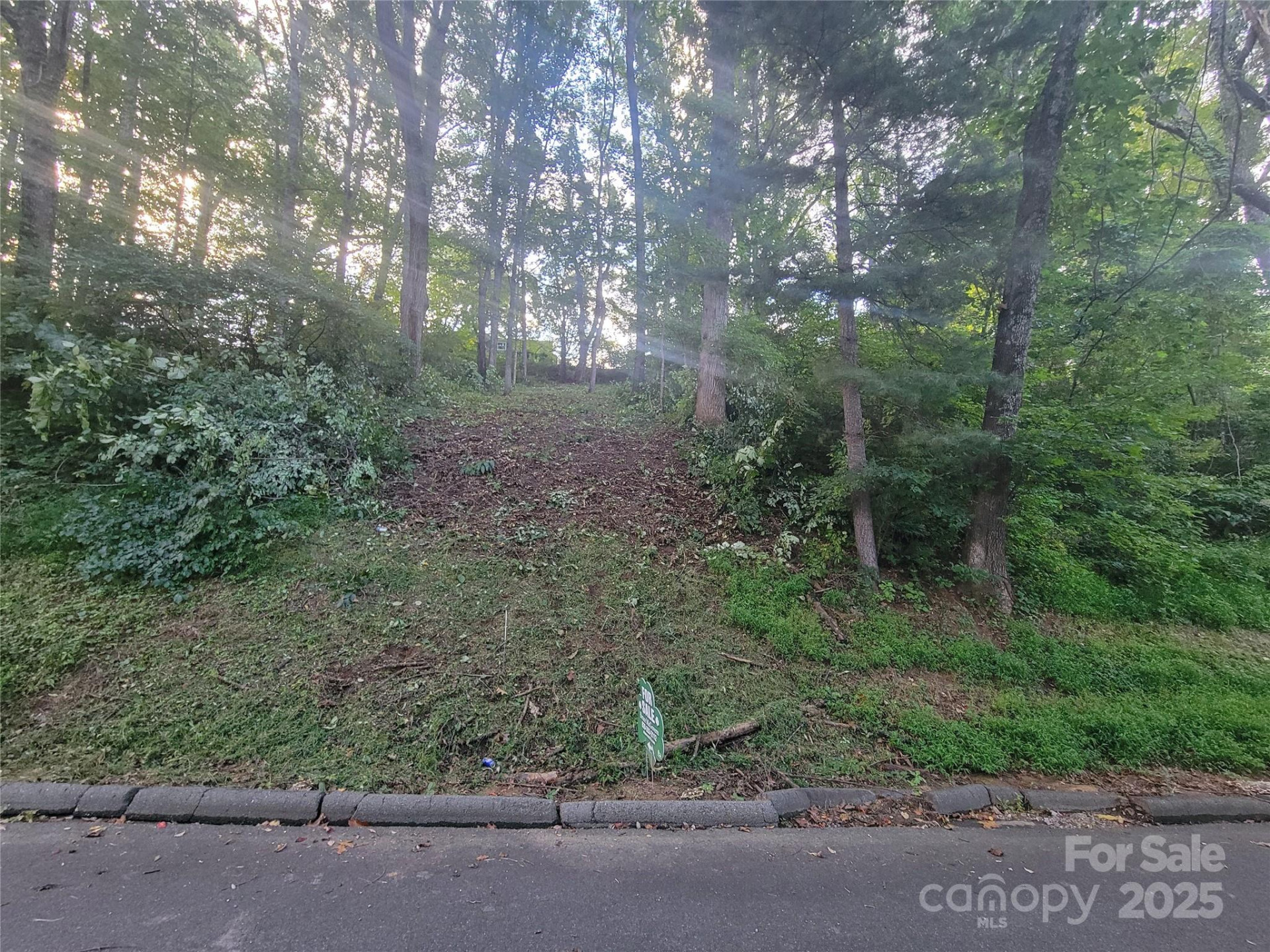 0 Blink Bonny Drive #B9 & B11 - Photo 6