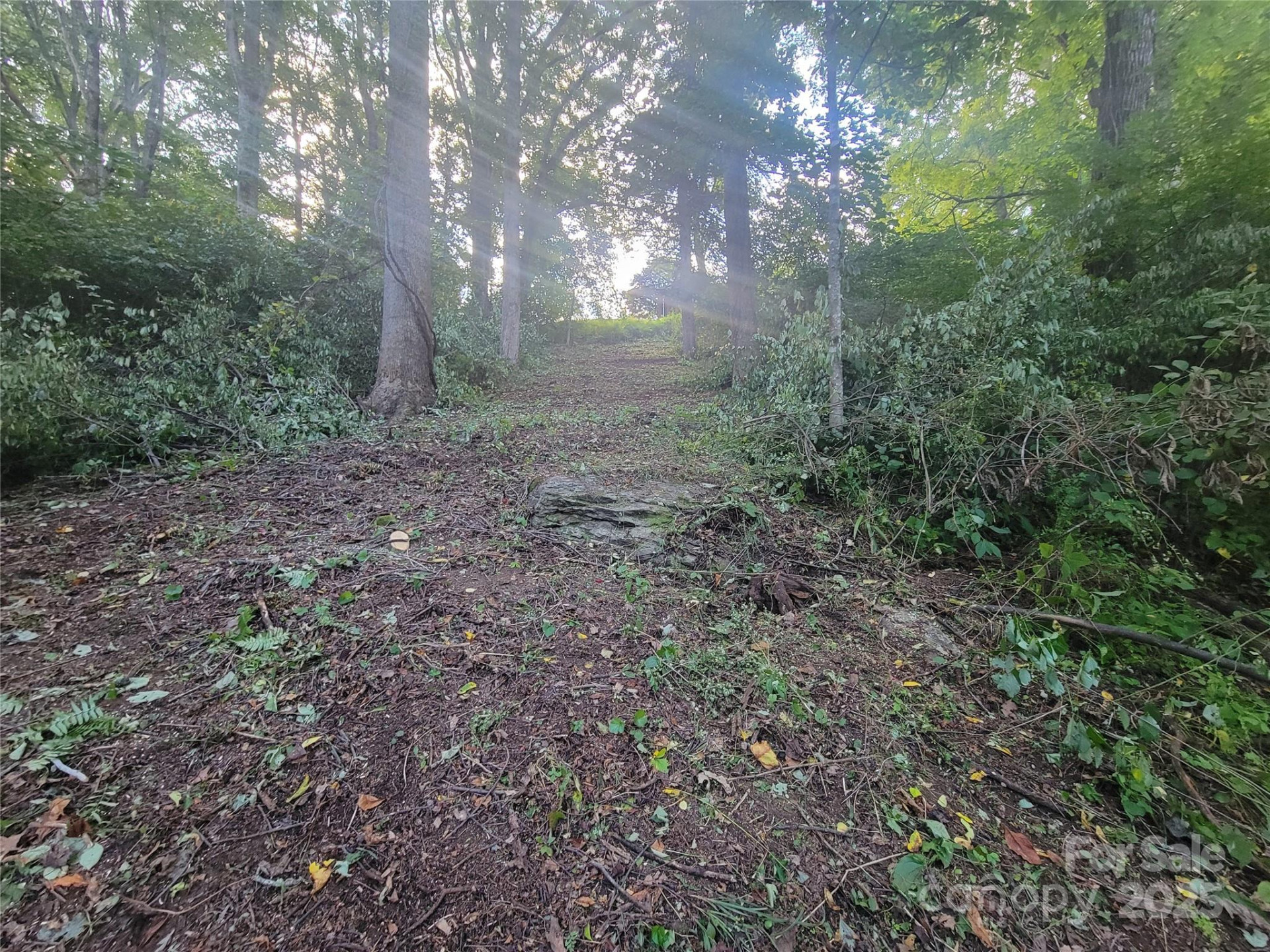 0 Blink Bonny Drive #B9 & B11 - Photo 10