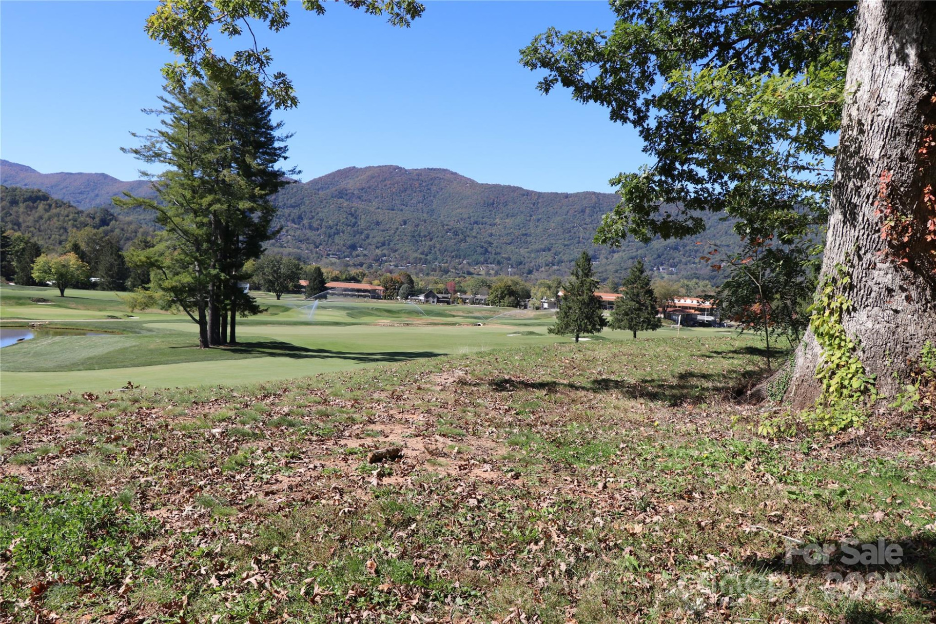 00 Longview Drive #6 - Photo 4