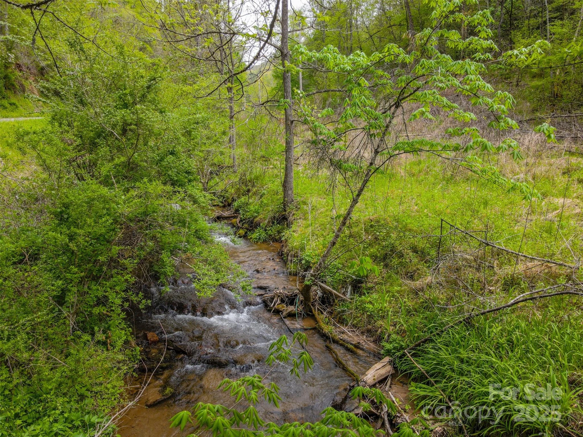 2360 Wayehutta Road - Photo 2