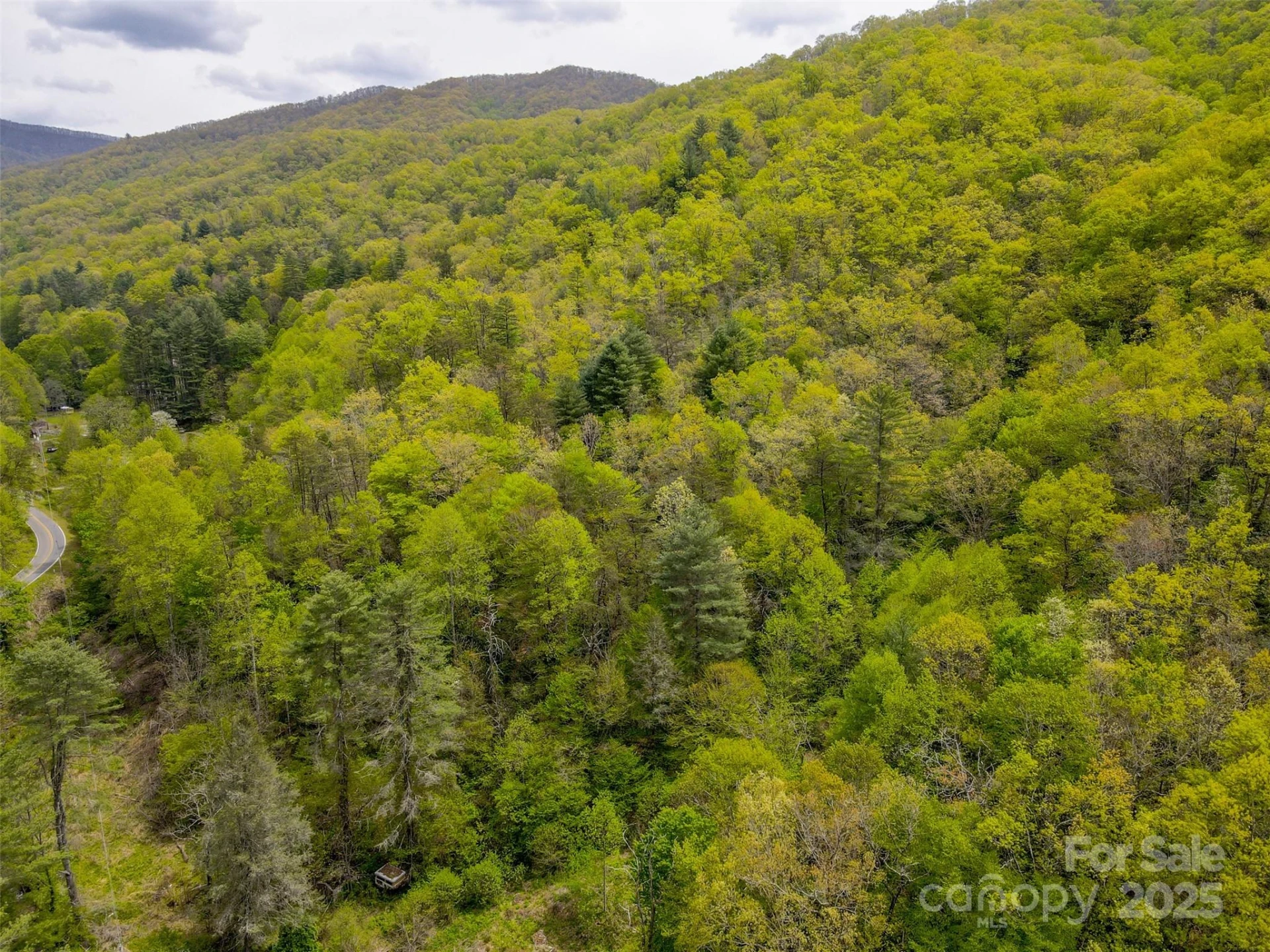 2360 Wayehutta Road - Photo 11