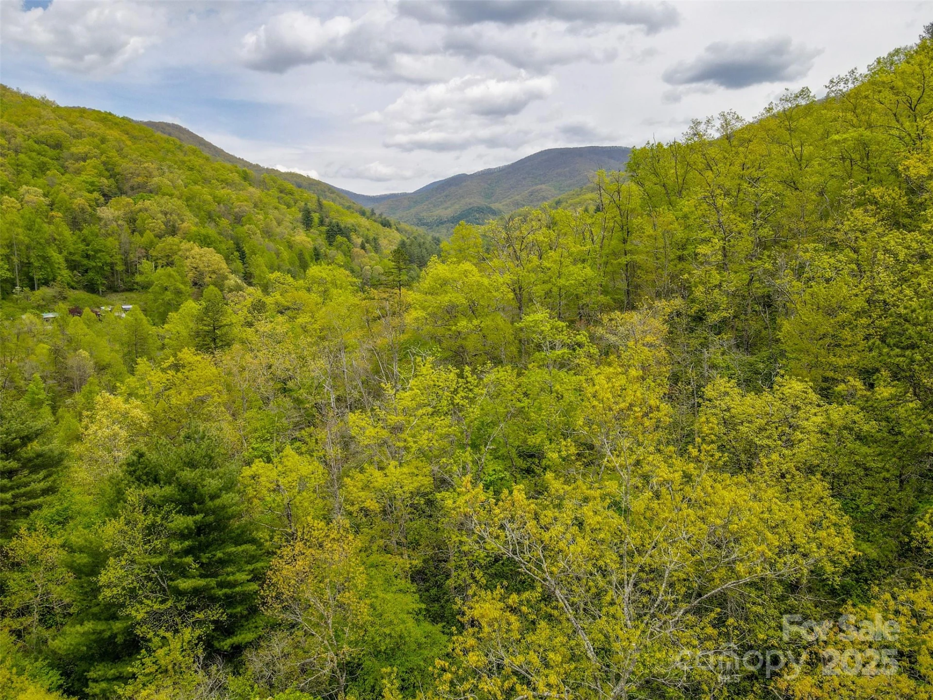 2360 Wayehutta Road - Photo 12
