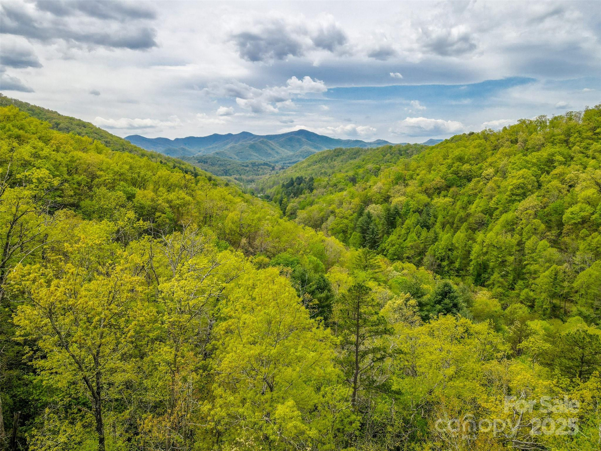 2360 Wayehutta Road - Photo 13