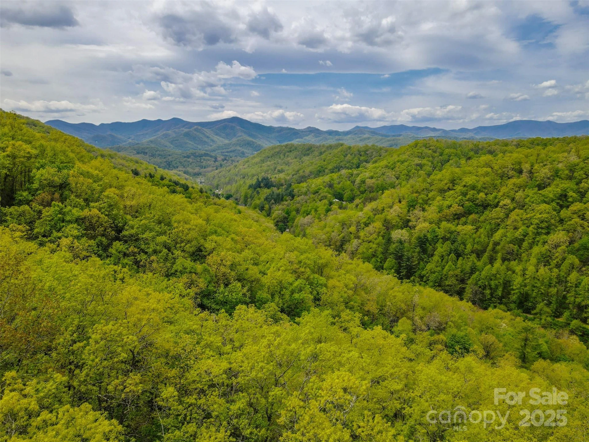 2360 Wayehutta Road - Photo 14