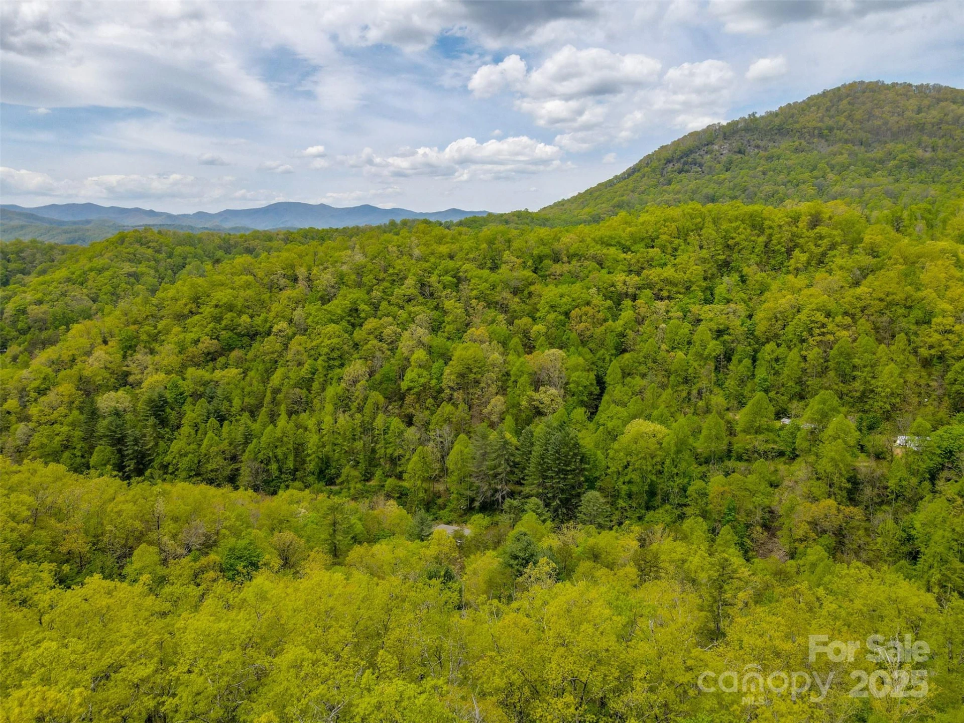 2360 Wayehutta Road - Photo 15