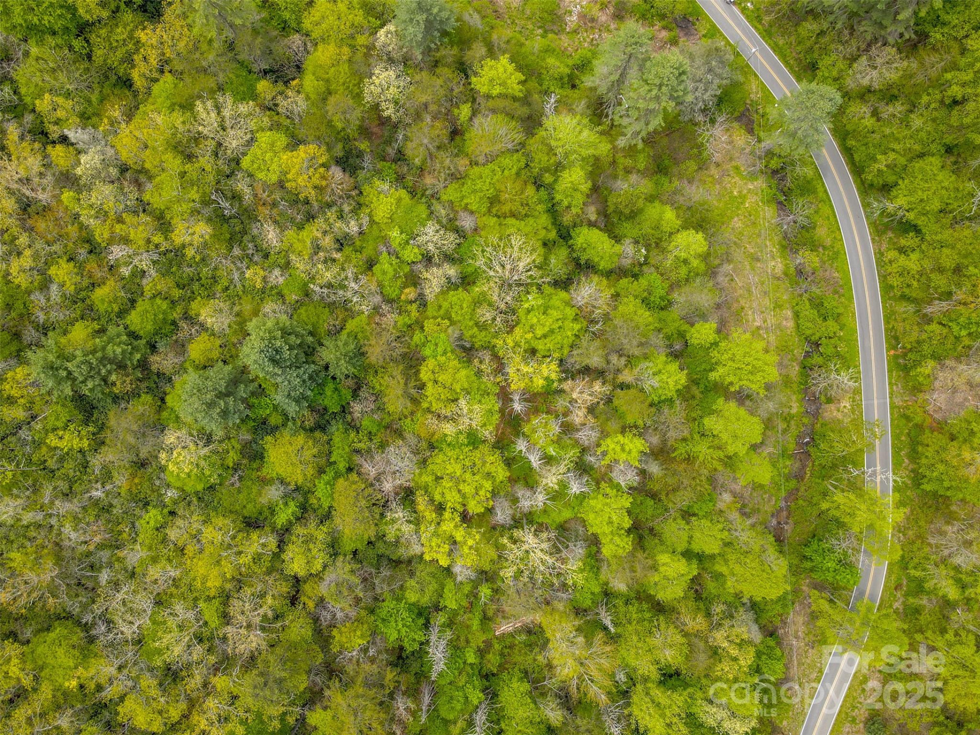 2360 Wayehutta Road - Photo 16