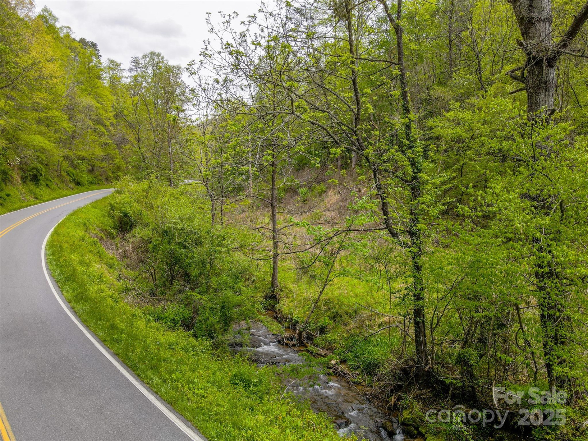 2360 Wayehutta Road - Photo 3