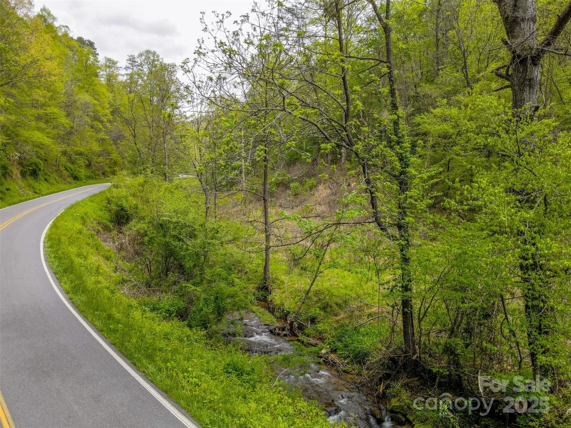 2360 Wayehutta Road - Photo 3