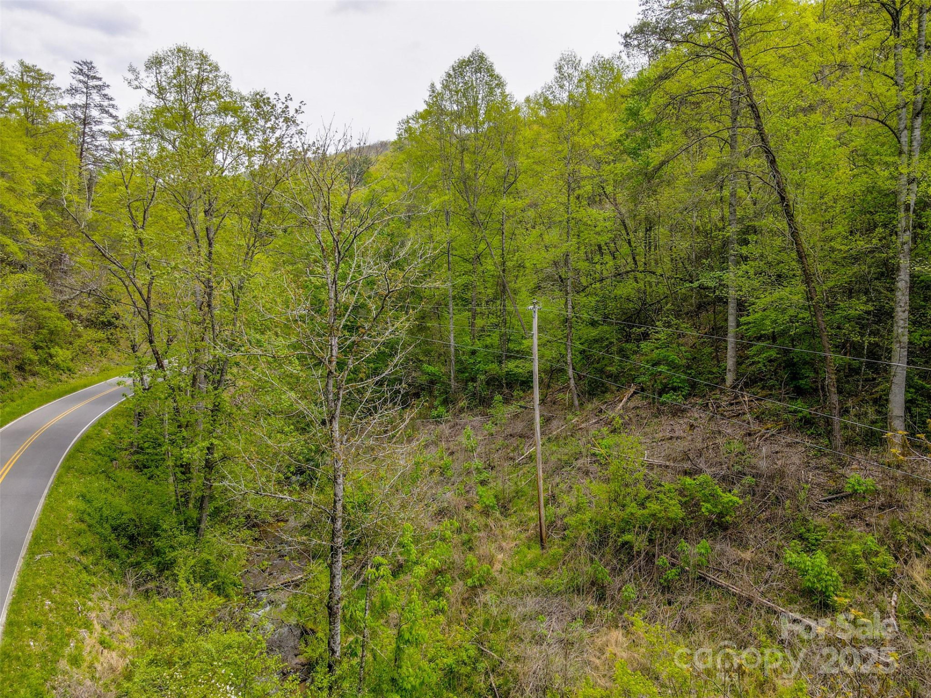 2360 Wayehutta Road - Photo 4
